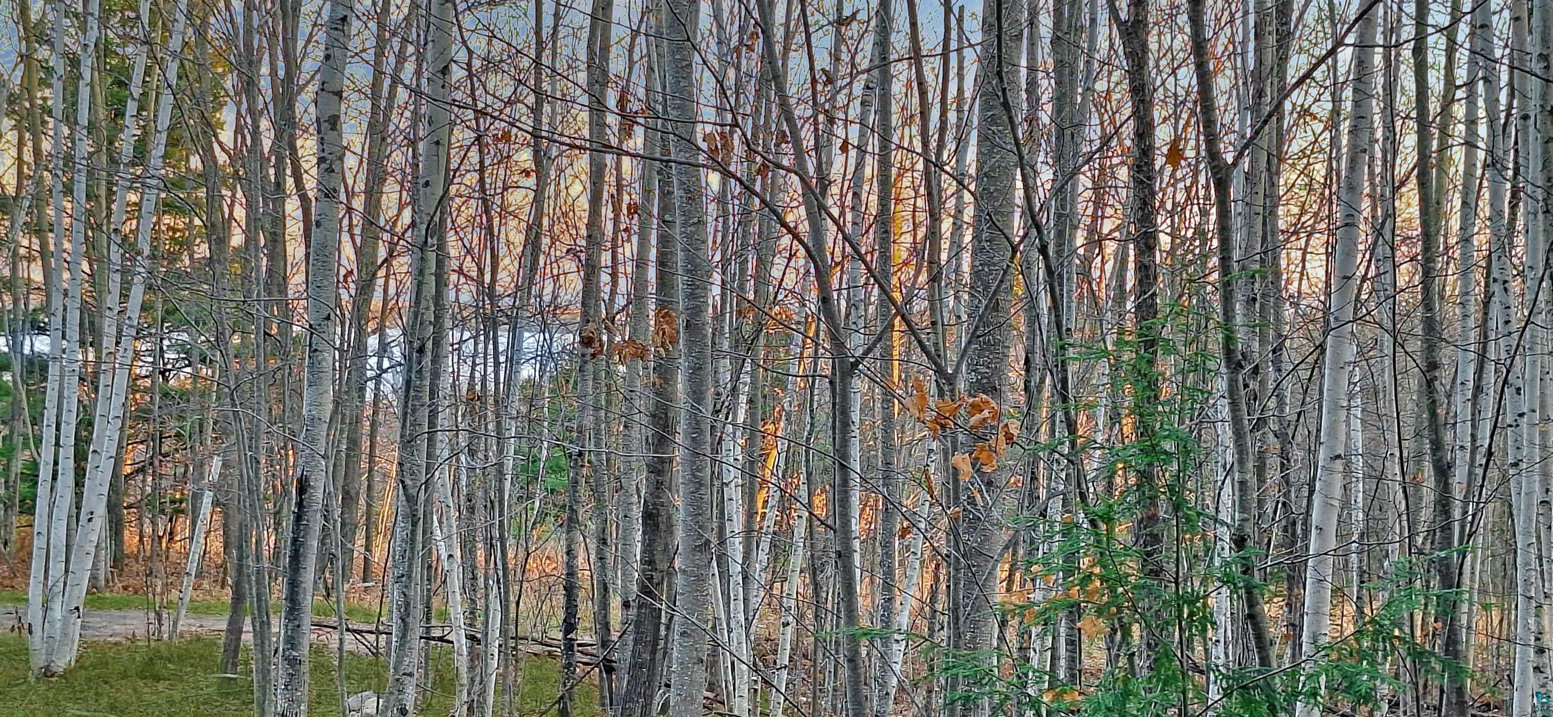 xxx Apple Hill Rd, Bayfield, WI 54814 Listing Photo  10