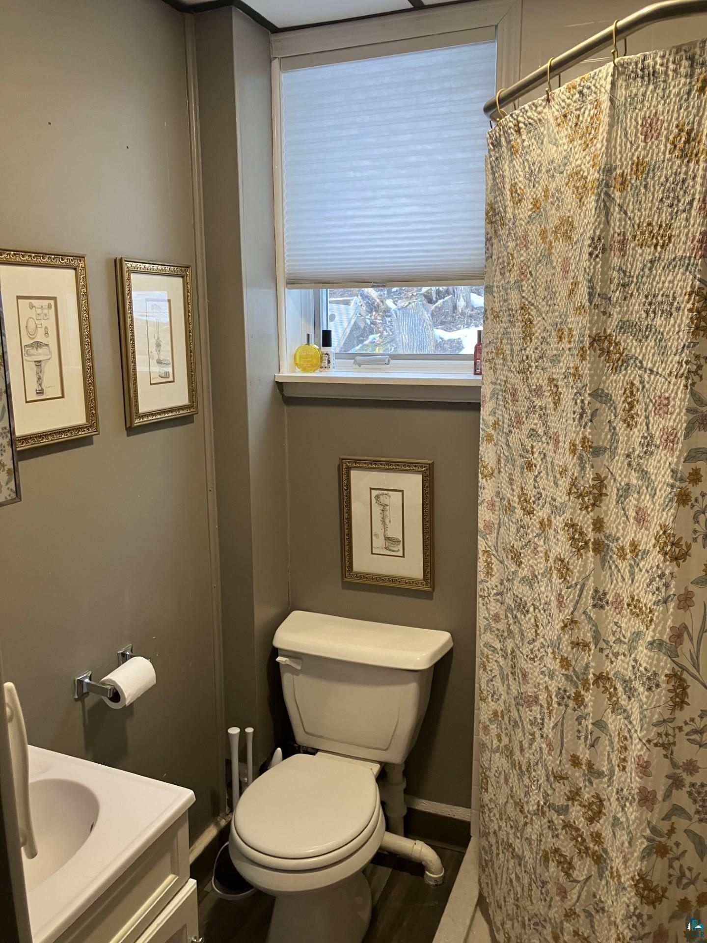 19 E Oxford St, Duluth, MN 55803 Listing Photo  7