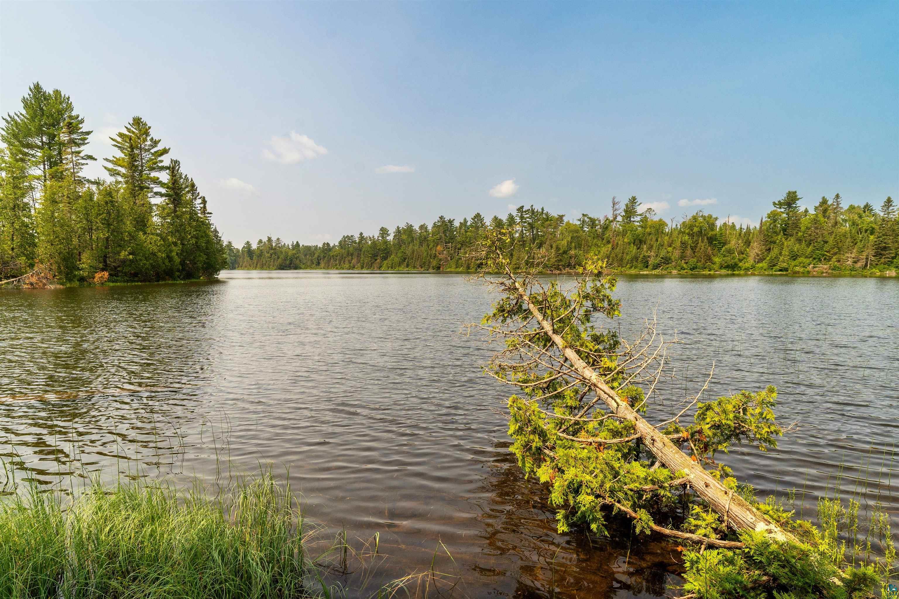 92 Erickson Trl, Tofte, MN 55615 Listing Photo  49