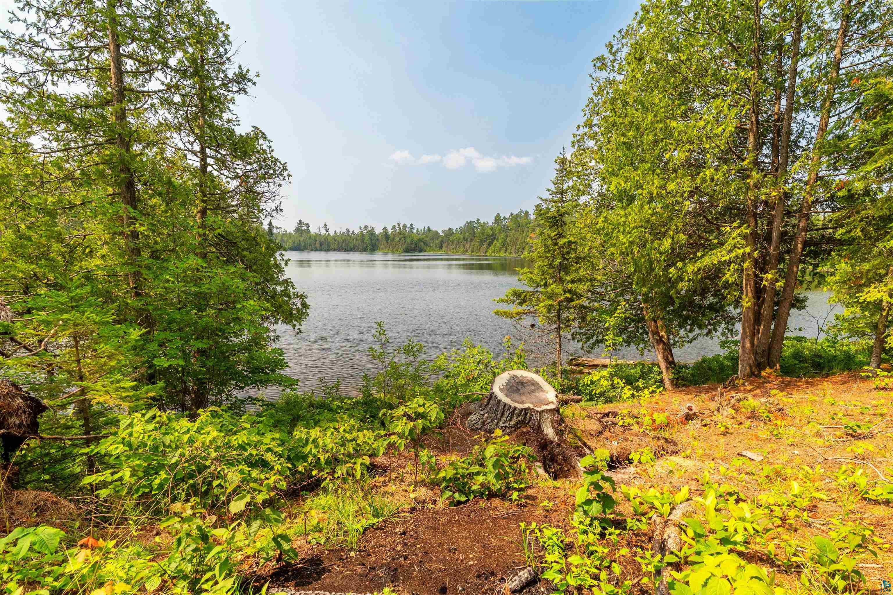 92 Erickson Trl, Tofte, MN 55615 Listing Photo  50