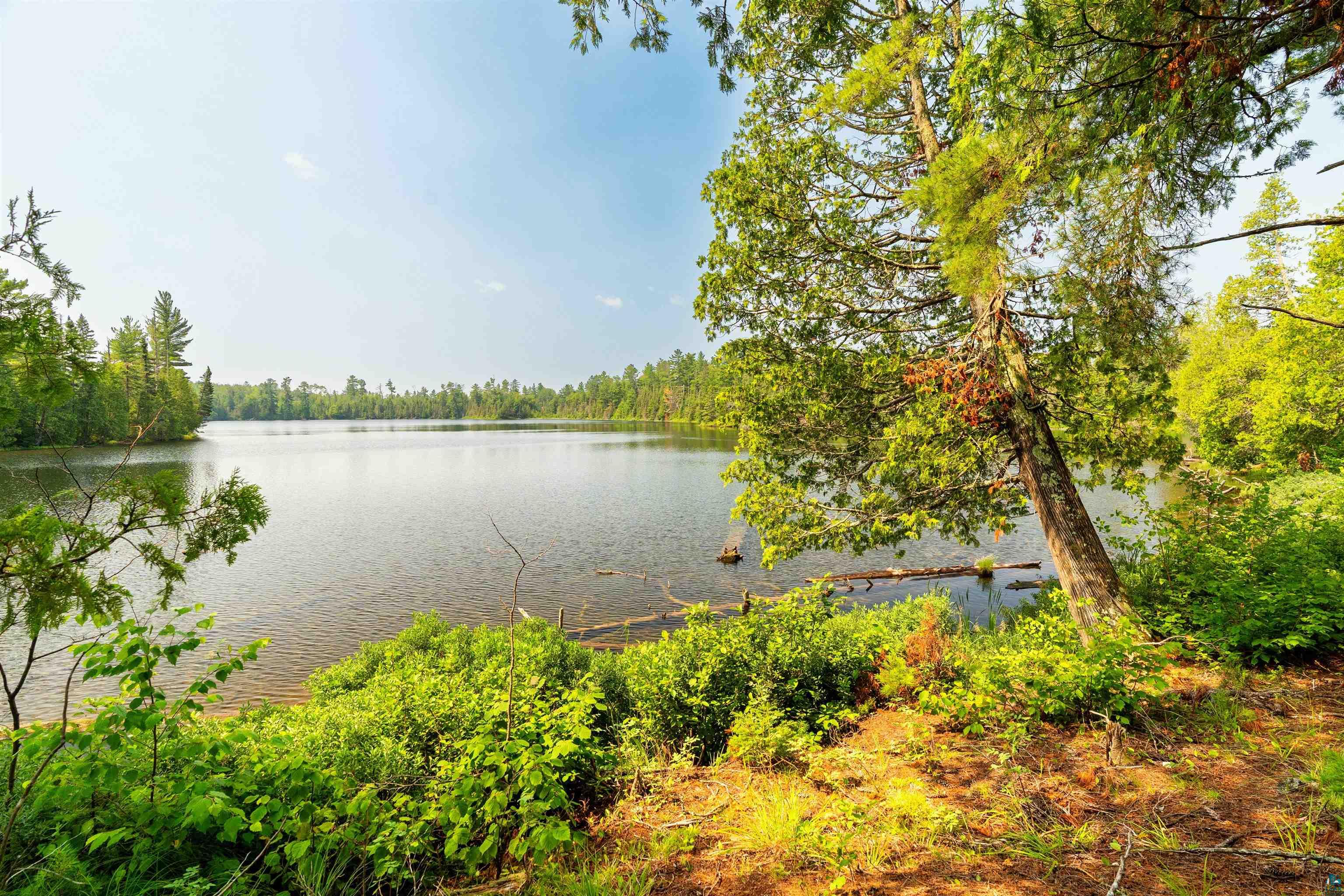 92 Erickson Trl, Tofte, MN 55615 Listing Photo  59