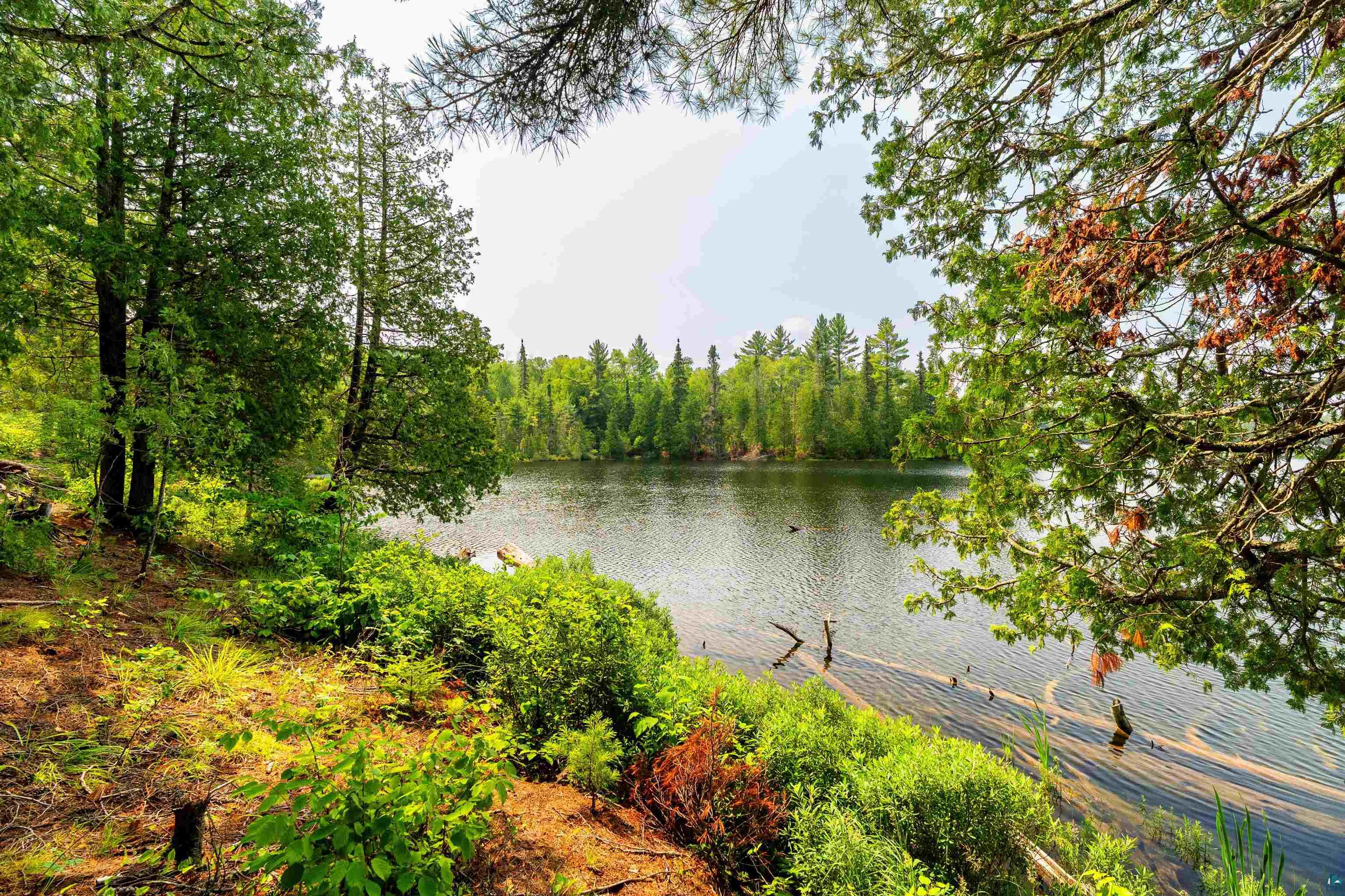 92 Erickson Trl, Tofte, MN 55615 Listing Photo  60