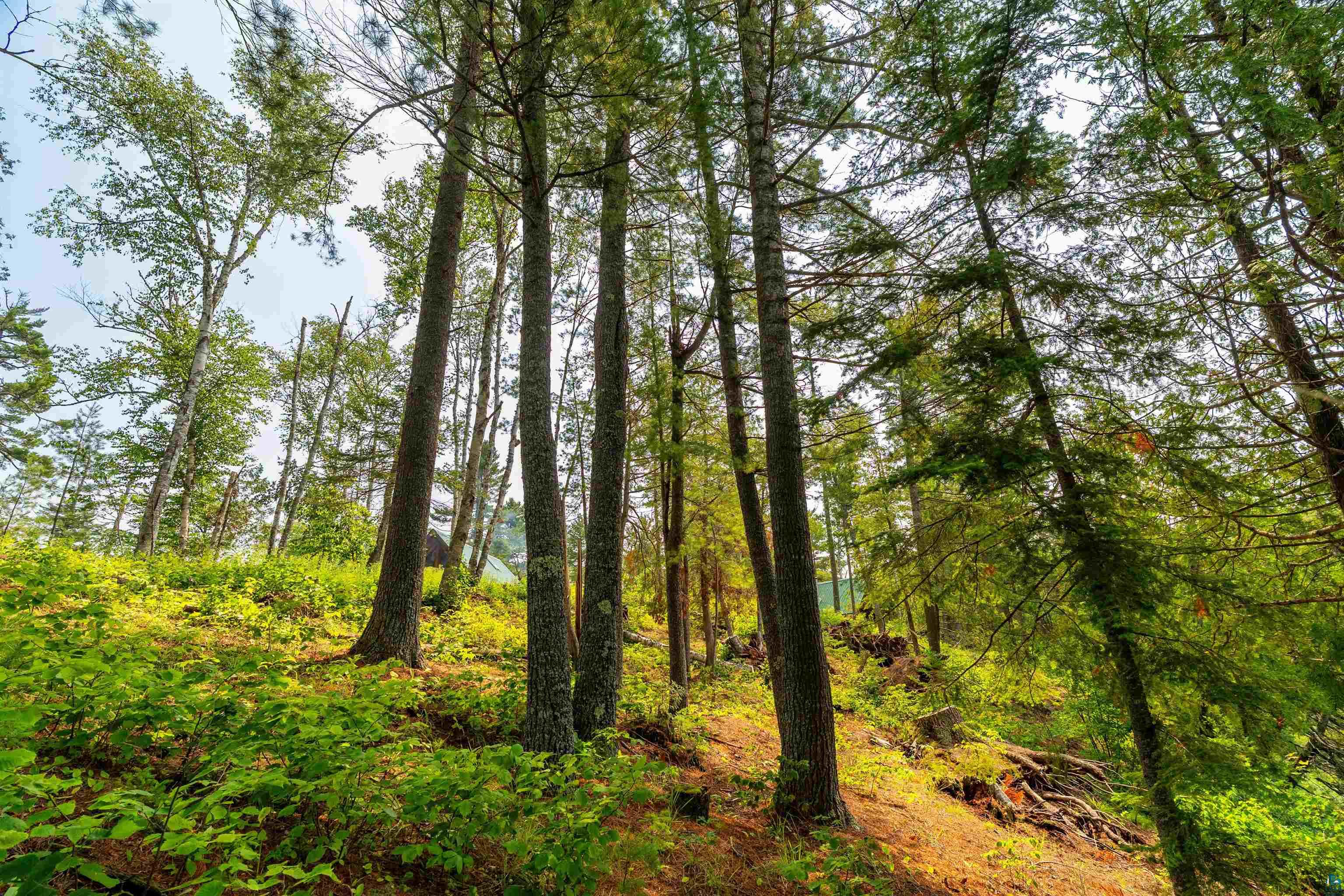 92 Erickson Trl, Tofte, MN 55615 Listing Photo  61