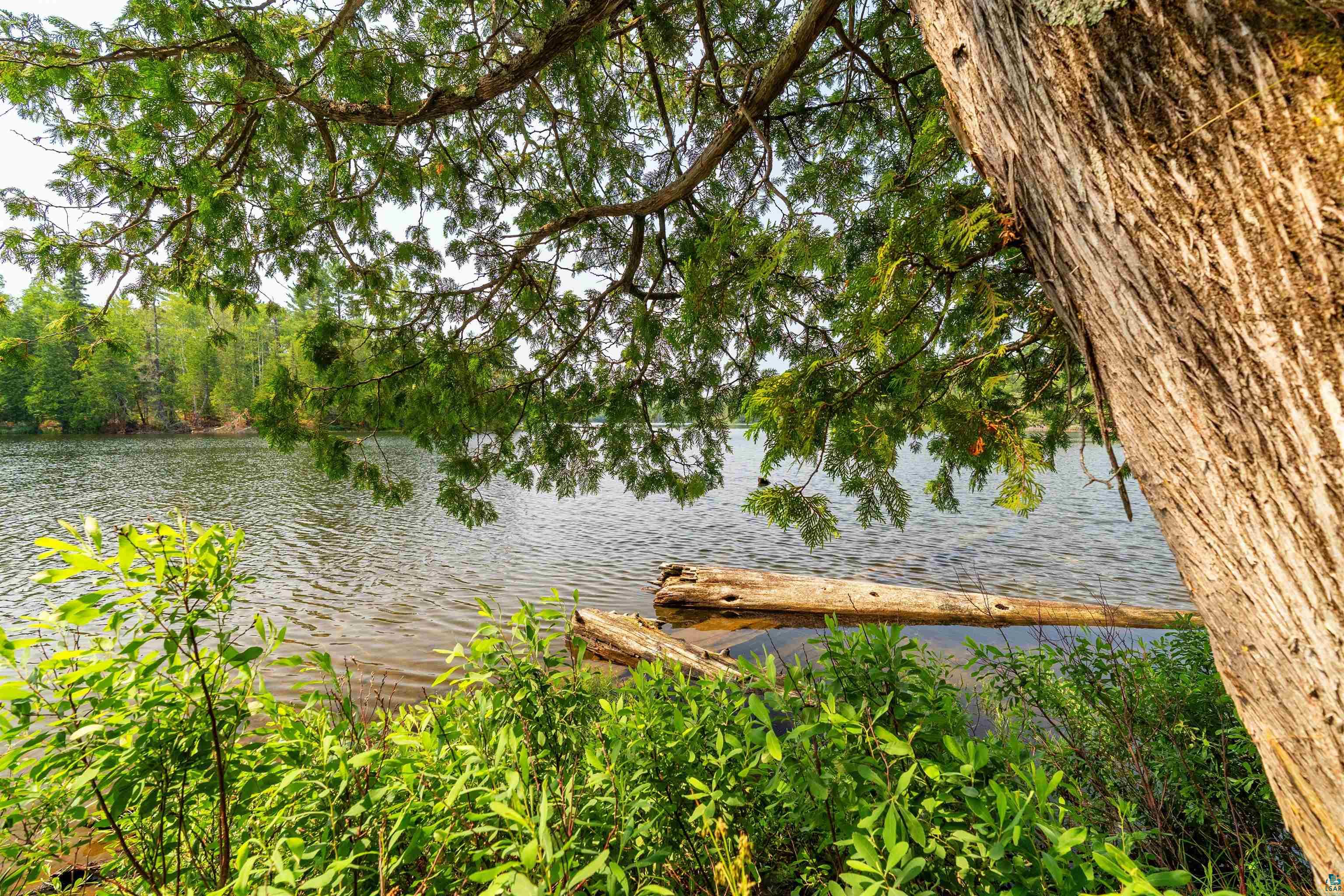 92 Erickson Trl, Tofte, MN 55615 Listing Photo  62