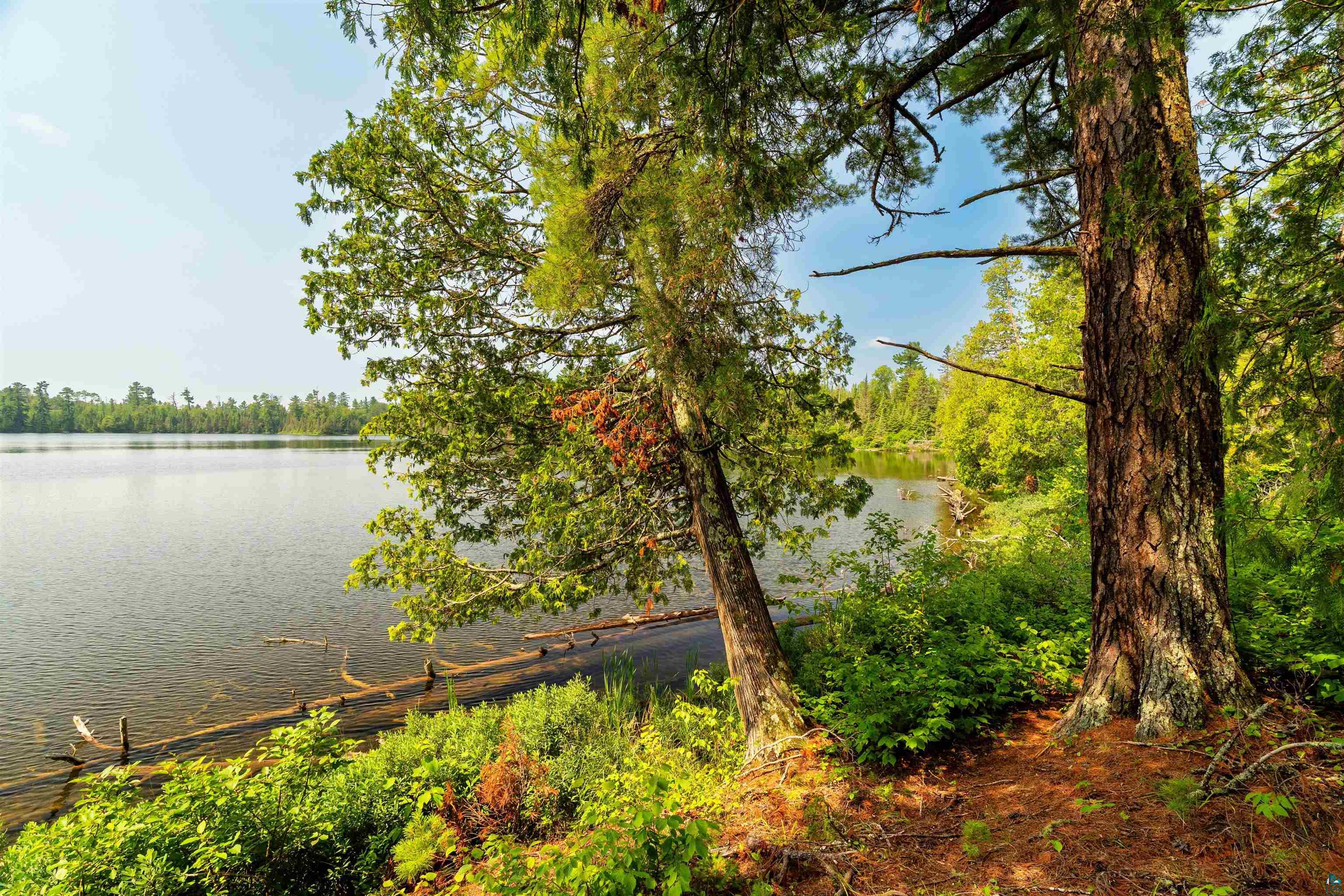 92 Erickson Trl, Tofte, MN 55615 Listing Photo  73