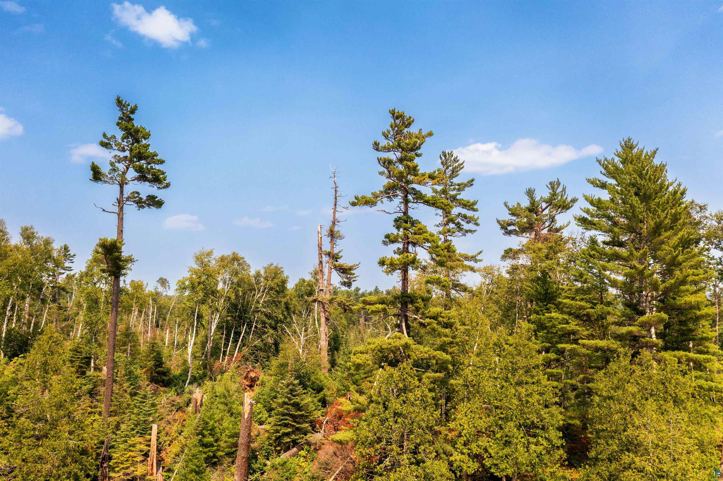 92 Erickson Trl, Tofte, MN 55615 Listing Photo  75