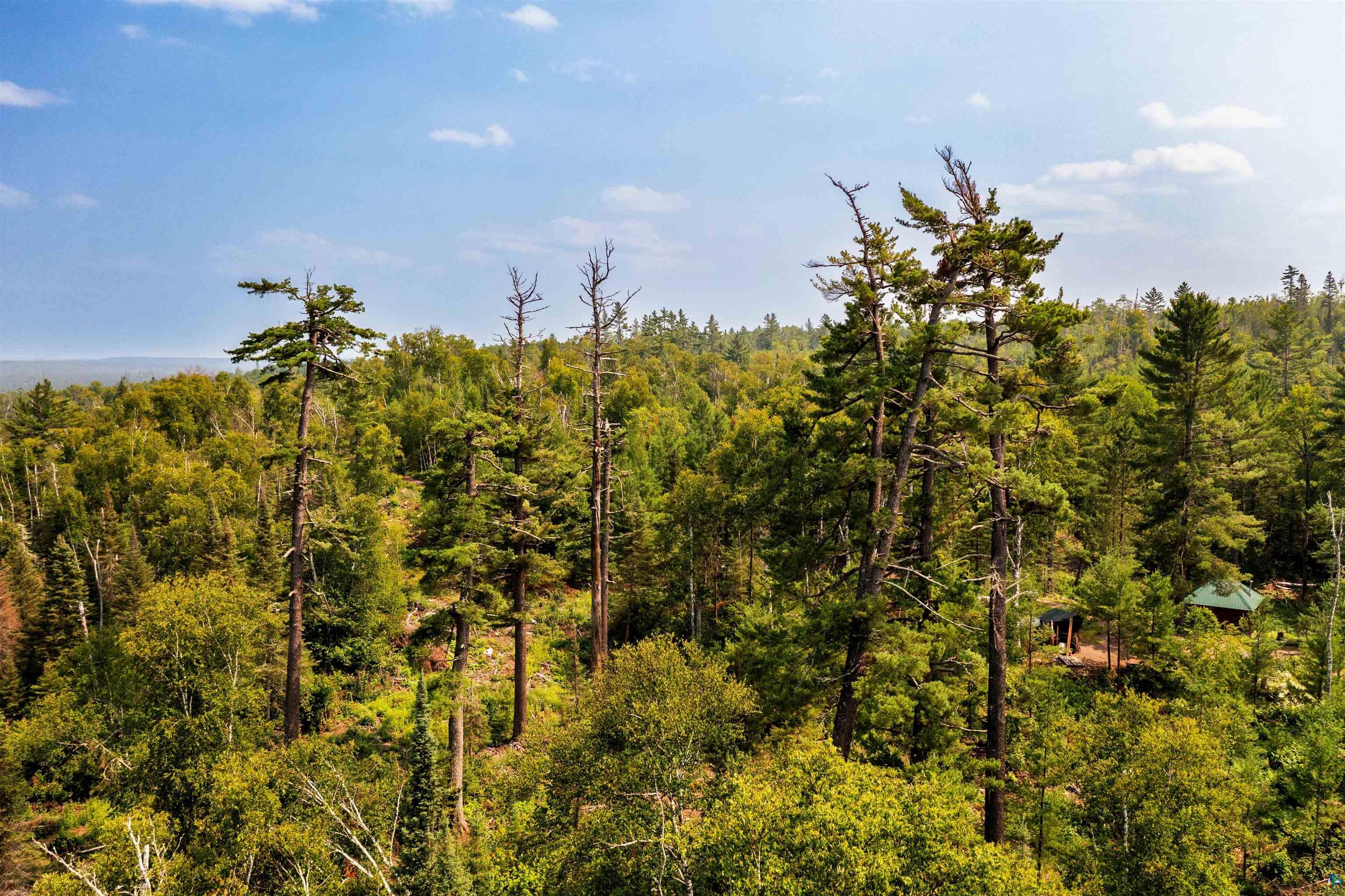 92 Erickson Trl, Tofte, MN 55615 Listing Photo  76