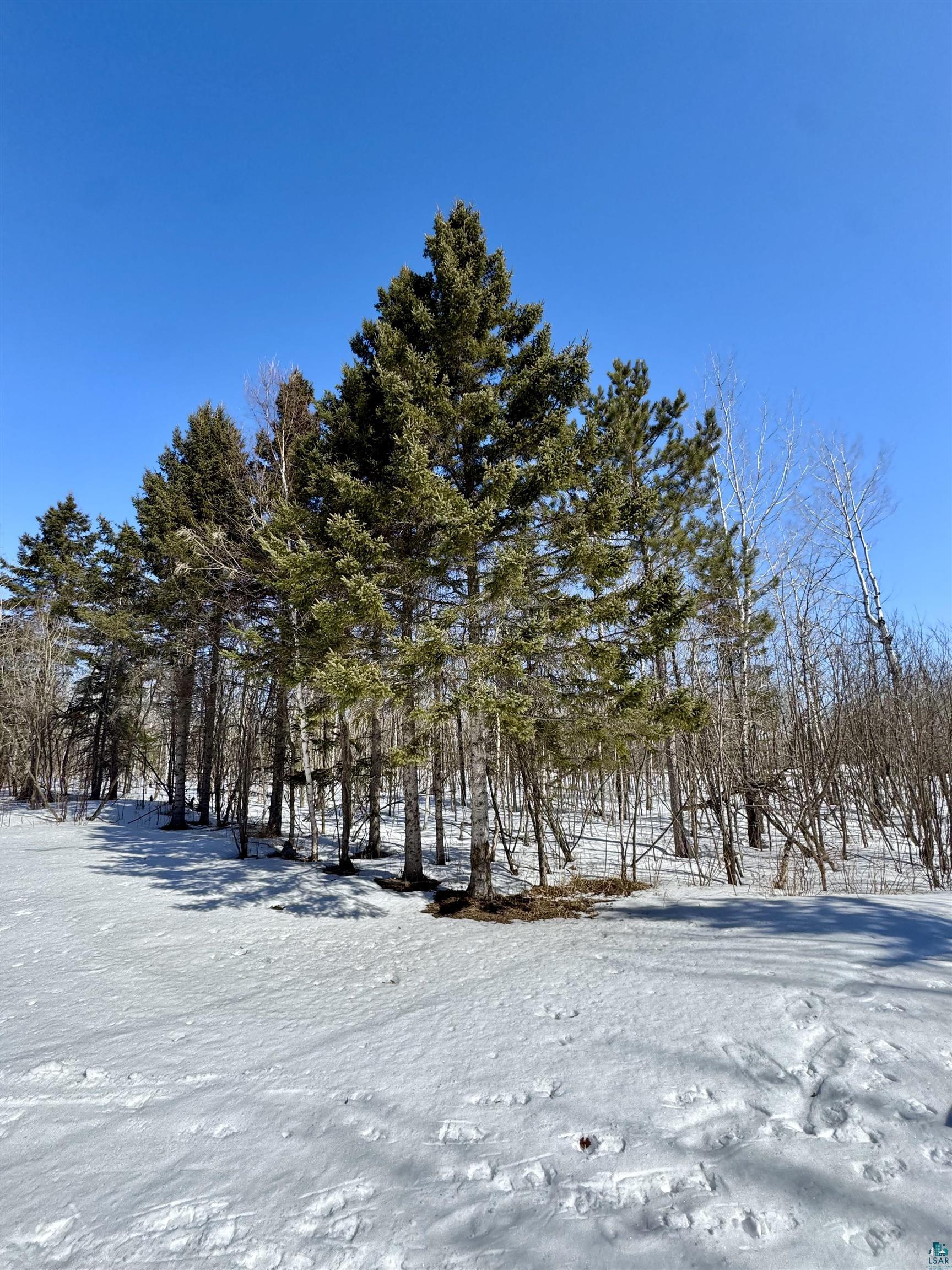 6269 HWY 1, Finland, MN 55603 Listing Photo  24