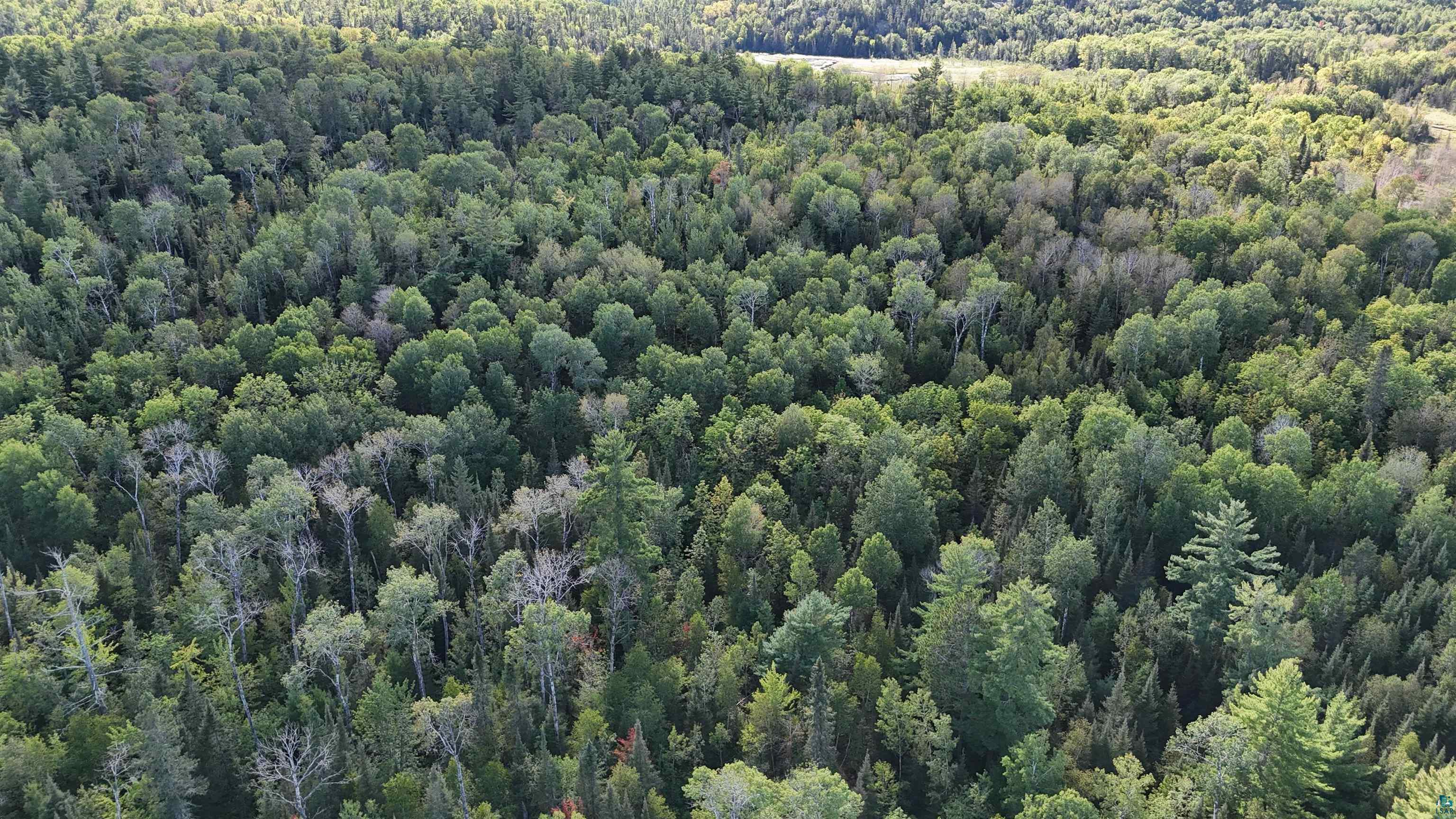 XX13.7 Crane Lake Rd, Crane Lake, MN 55725 Listing Photo  28