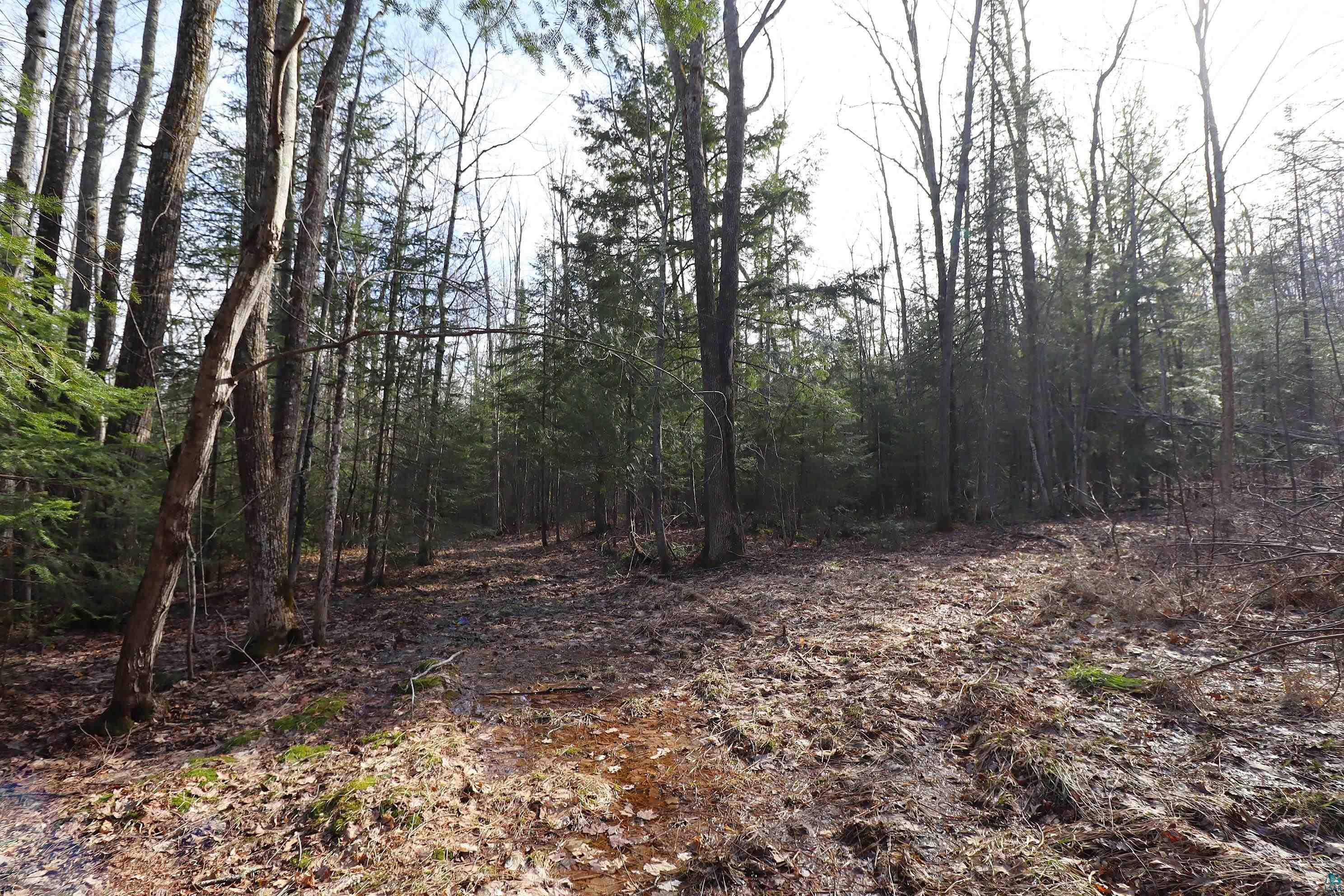 36807 County Hwy J, Bayfield, WI 54814 Listing Photo  11