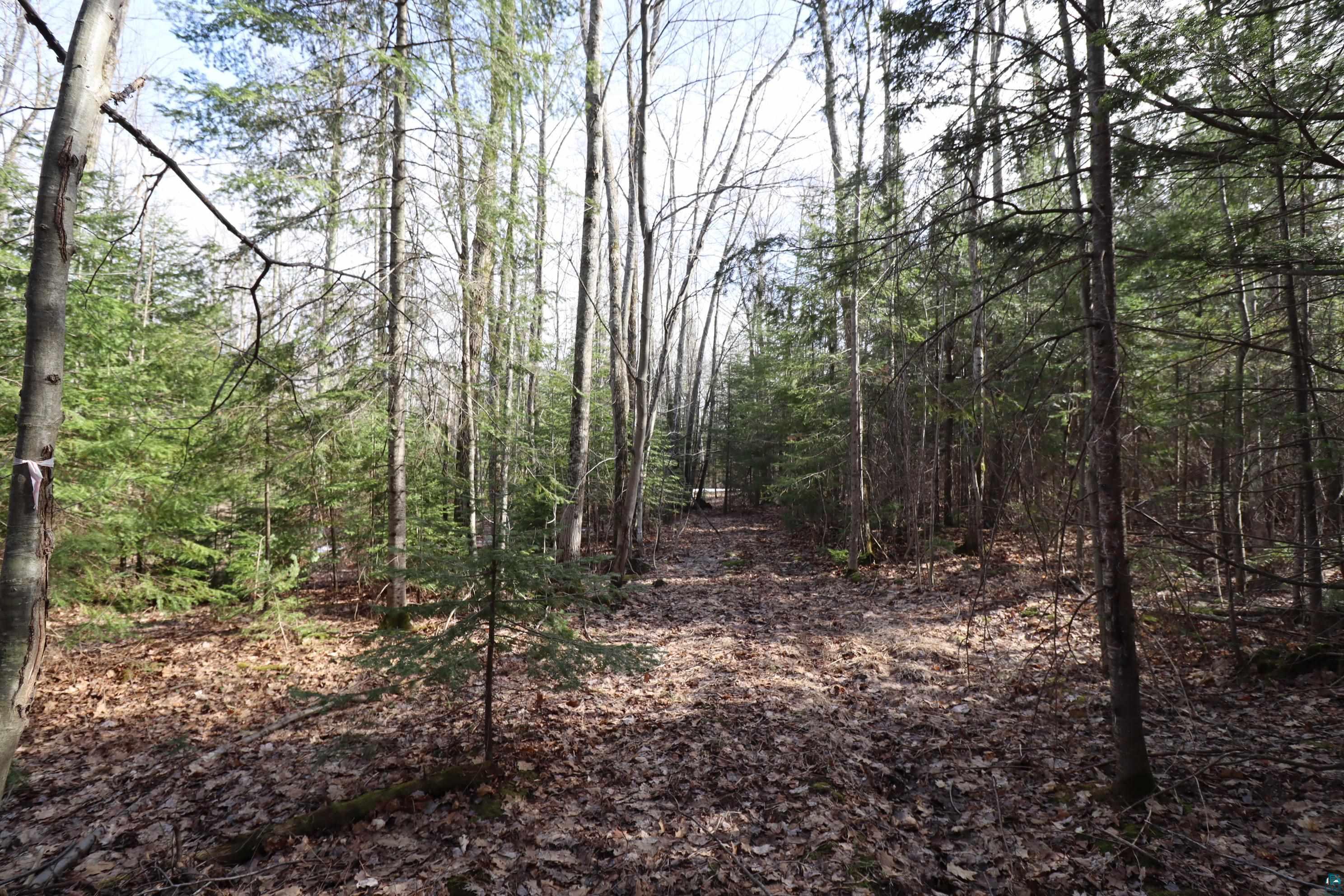 36807 County Hwy J, Bayfield, WI 54814 Listing Photo  12