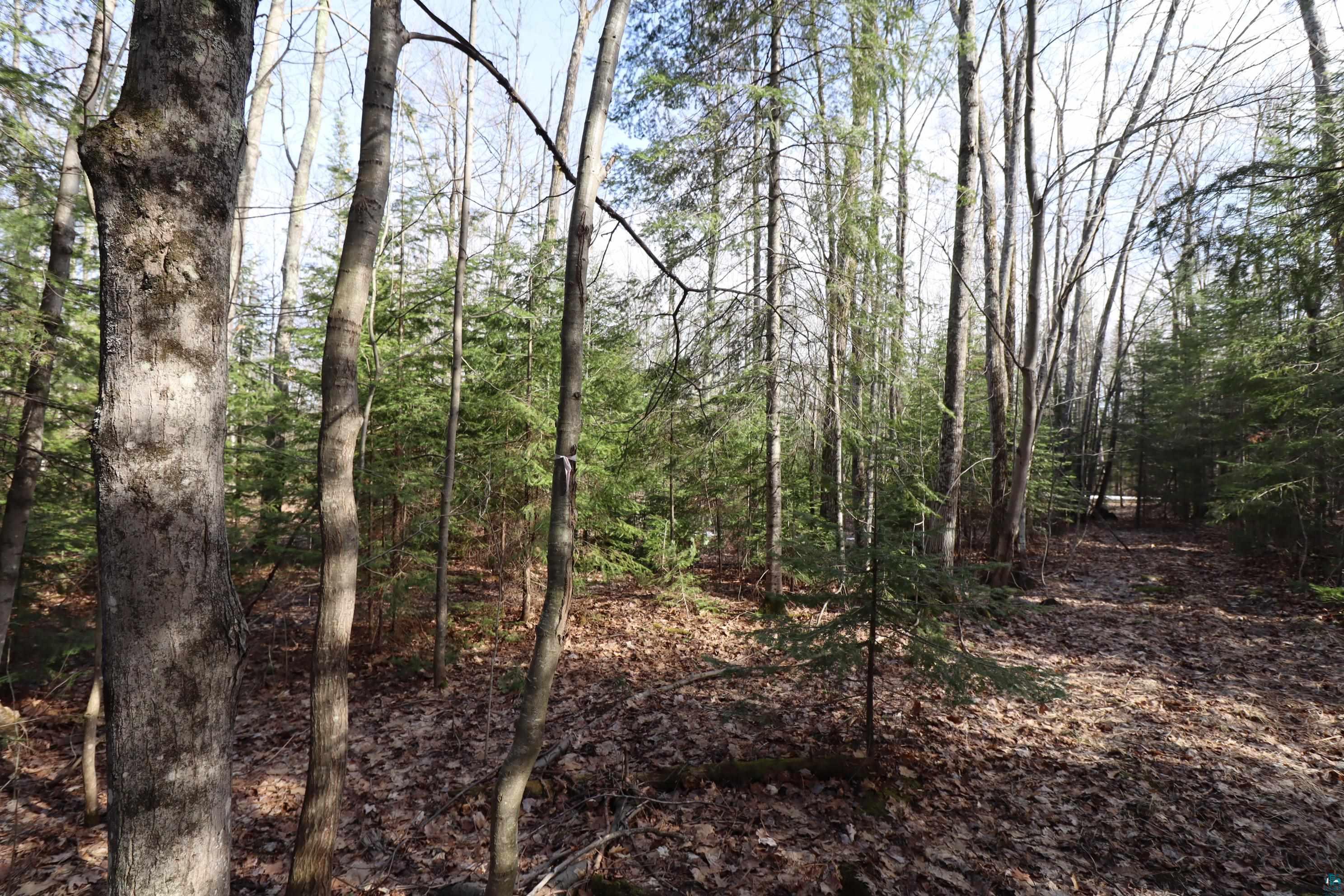 36807 County Hwy J, Bayfield, WI 54814 Listing Photo  13