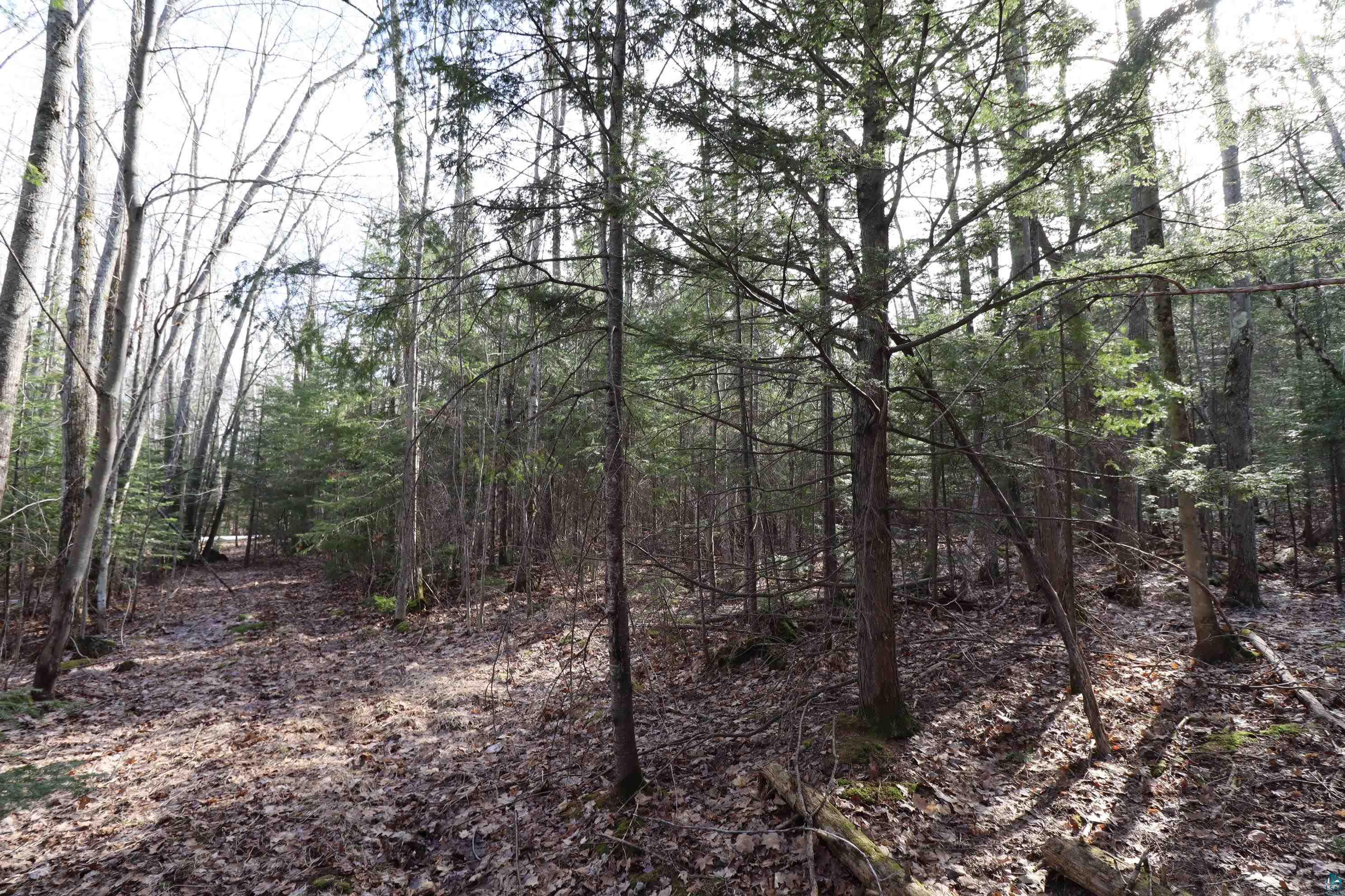 36807 County Hwy J, Bayfield, WI 54814 Listing Photo  14