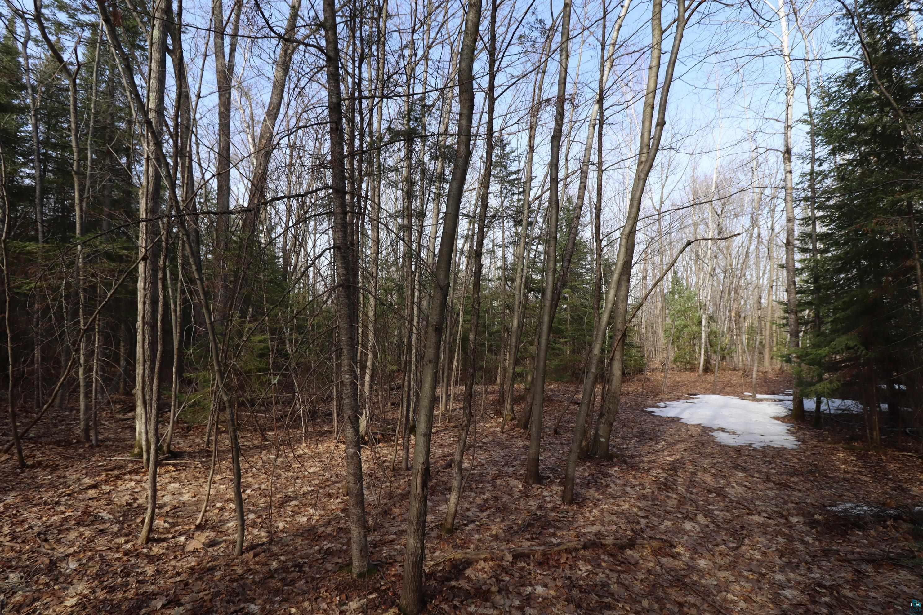 36807 County Hwy J, Bayfield, WI 54814 Listing Photo  15