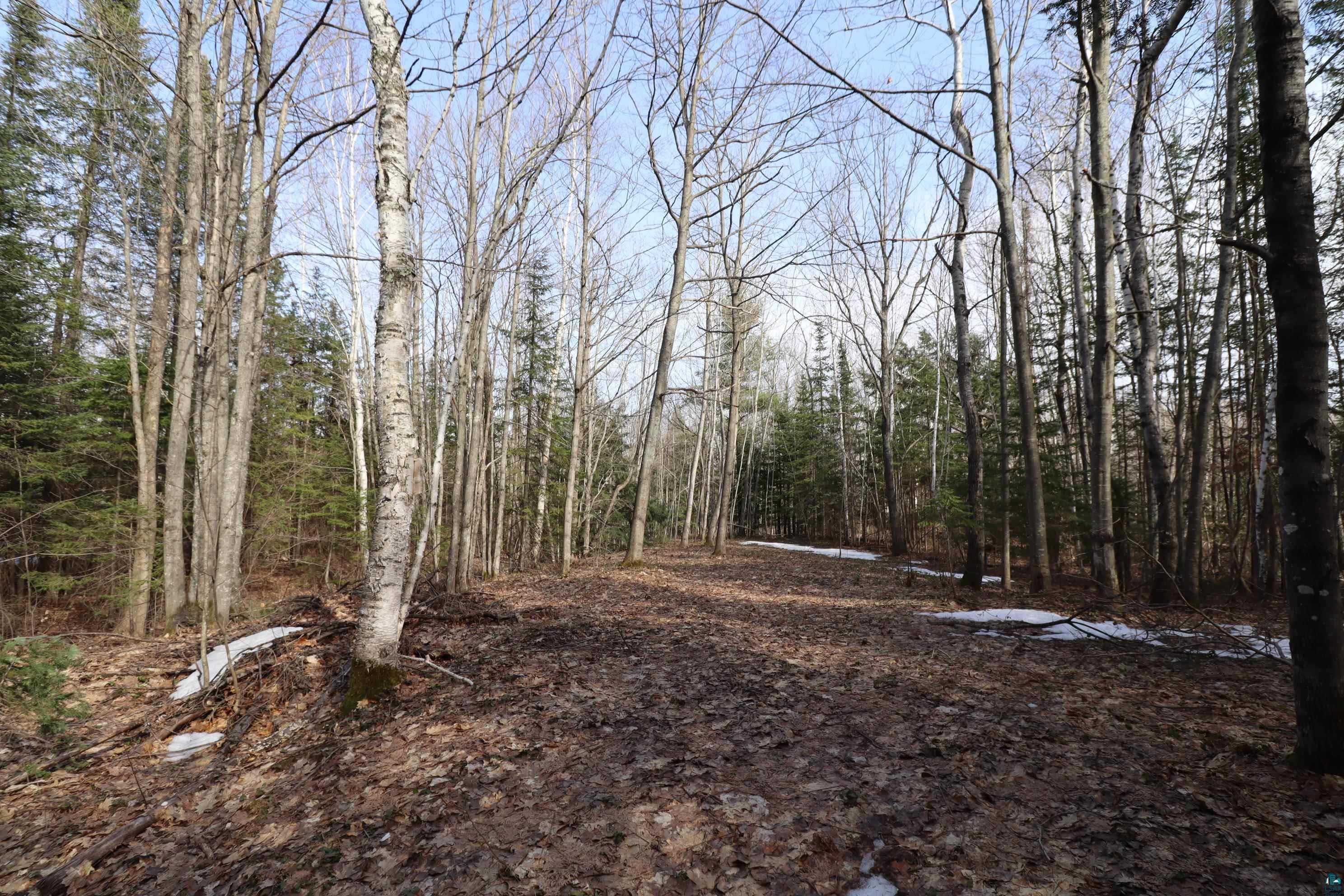 36807 County Hwy J, Bayfield, WI 54814 Listing Photo  16