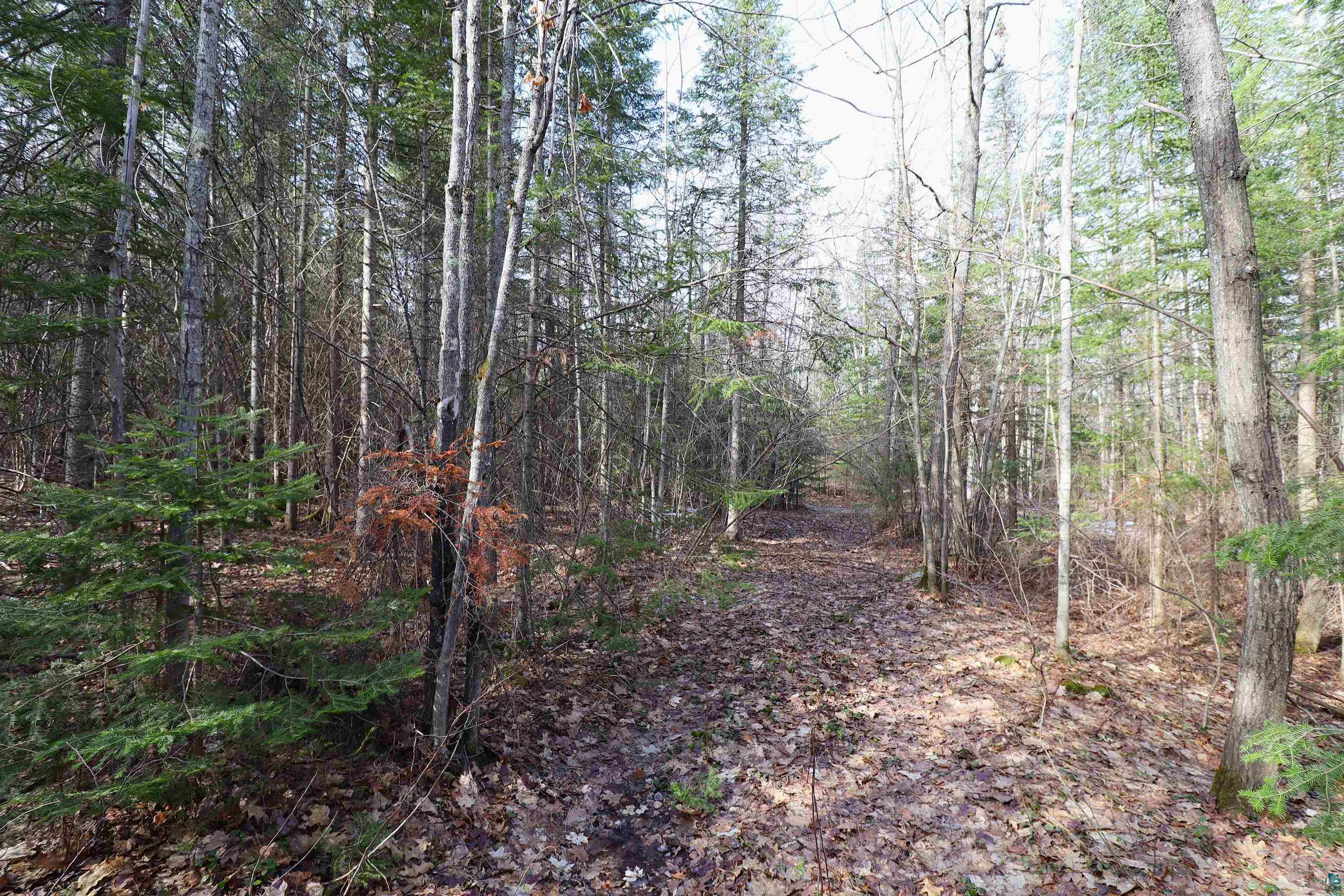 36807 County Hwy J, Bayfield, WI 54814 Listing Photo  17