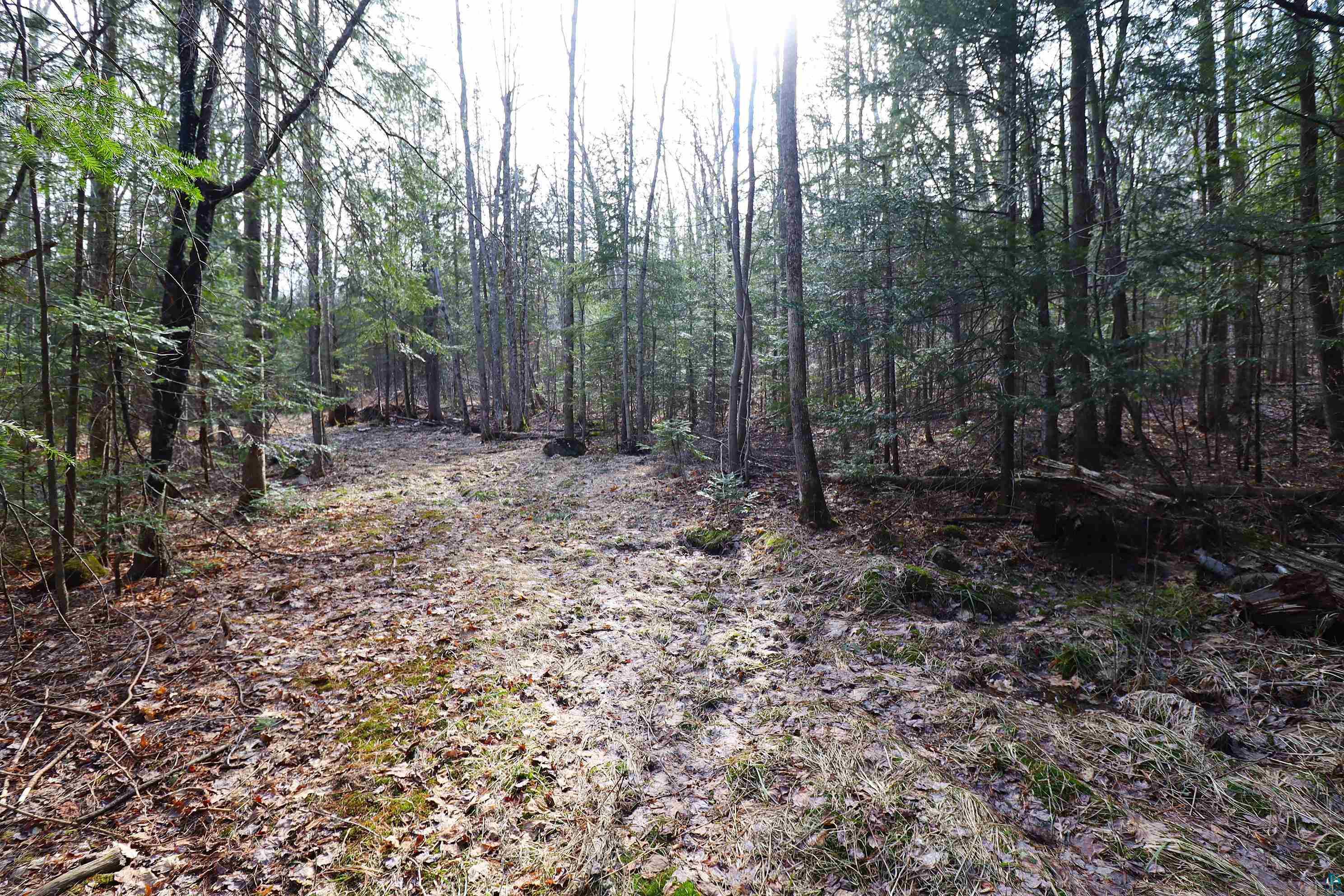 36807 County Hwy J, Bayfield, WI 54814 Listing Photo  19
