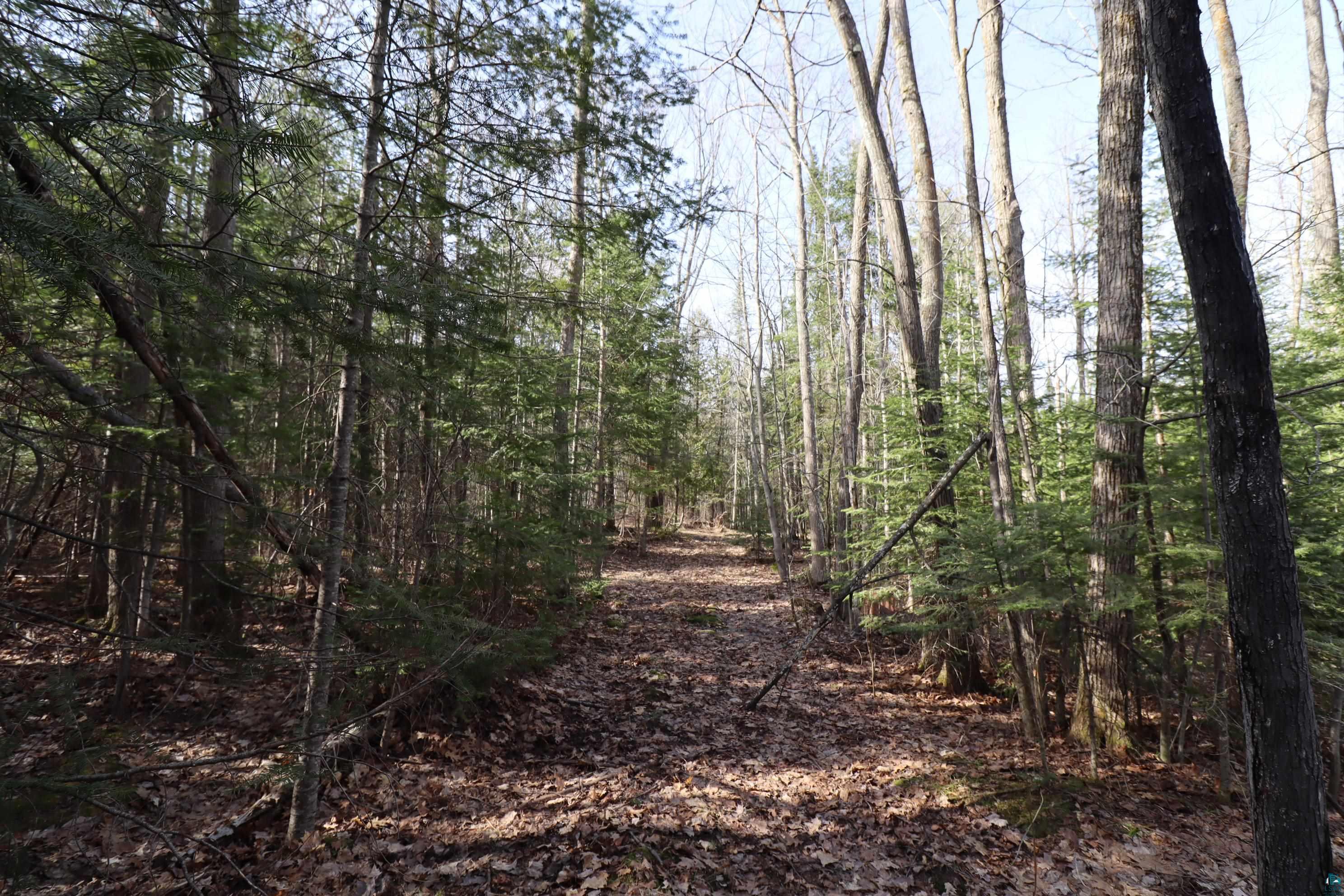 36807 County Hwy J, Bayfield, WI 54814 Listing Photo  7