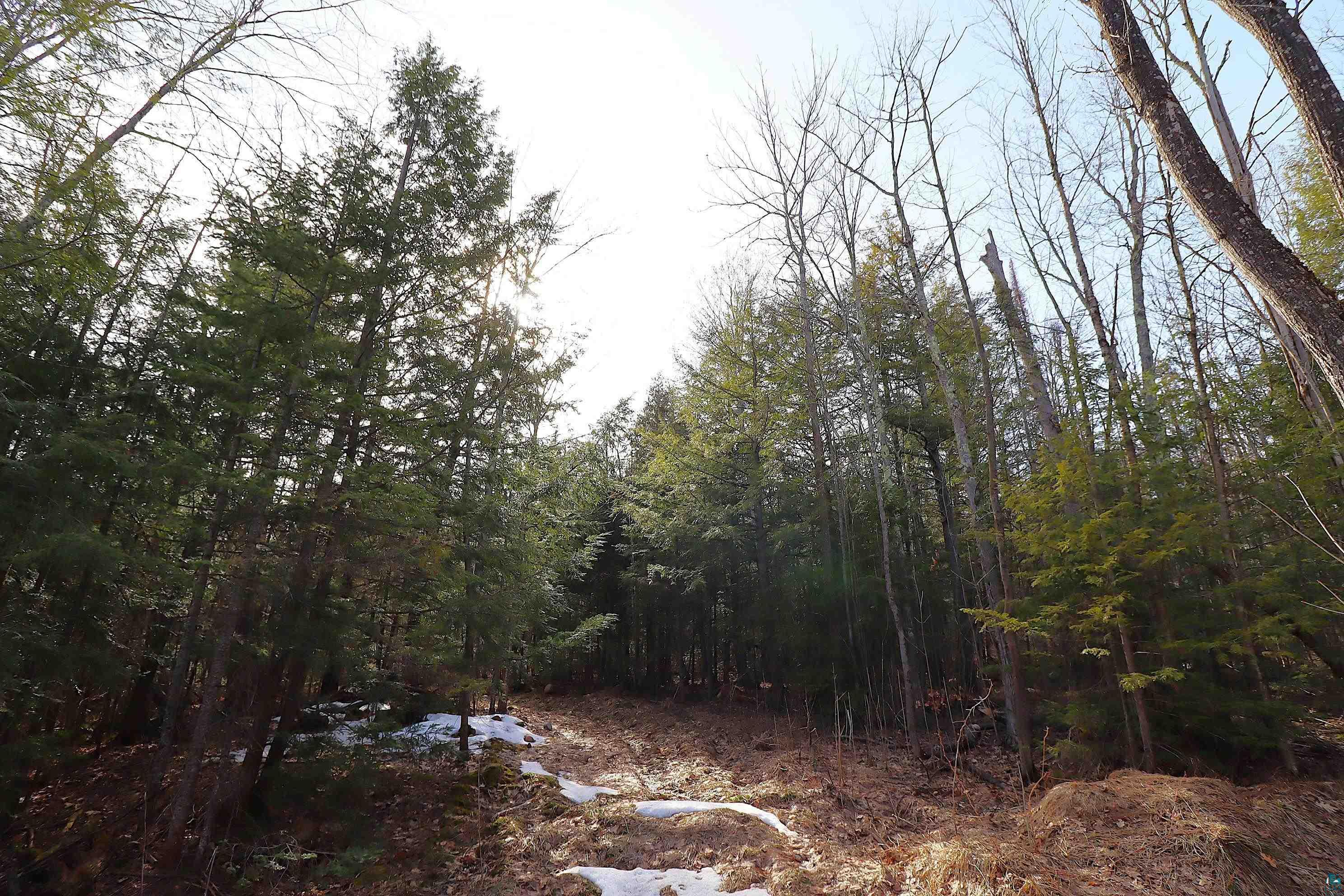 36807 County Hwy J, Bayfield, WI 54814 Listing Photo  8