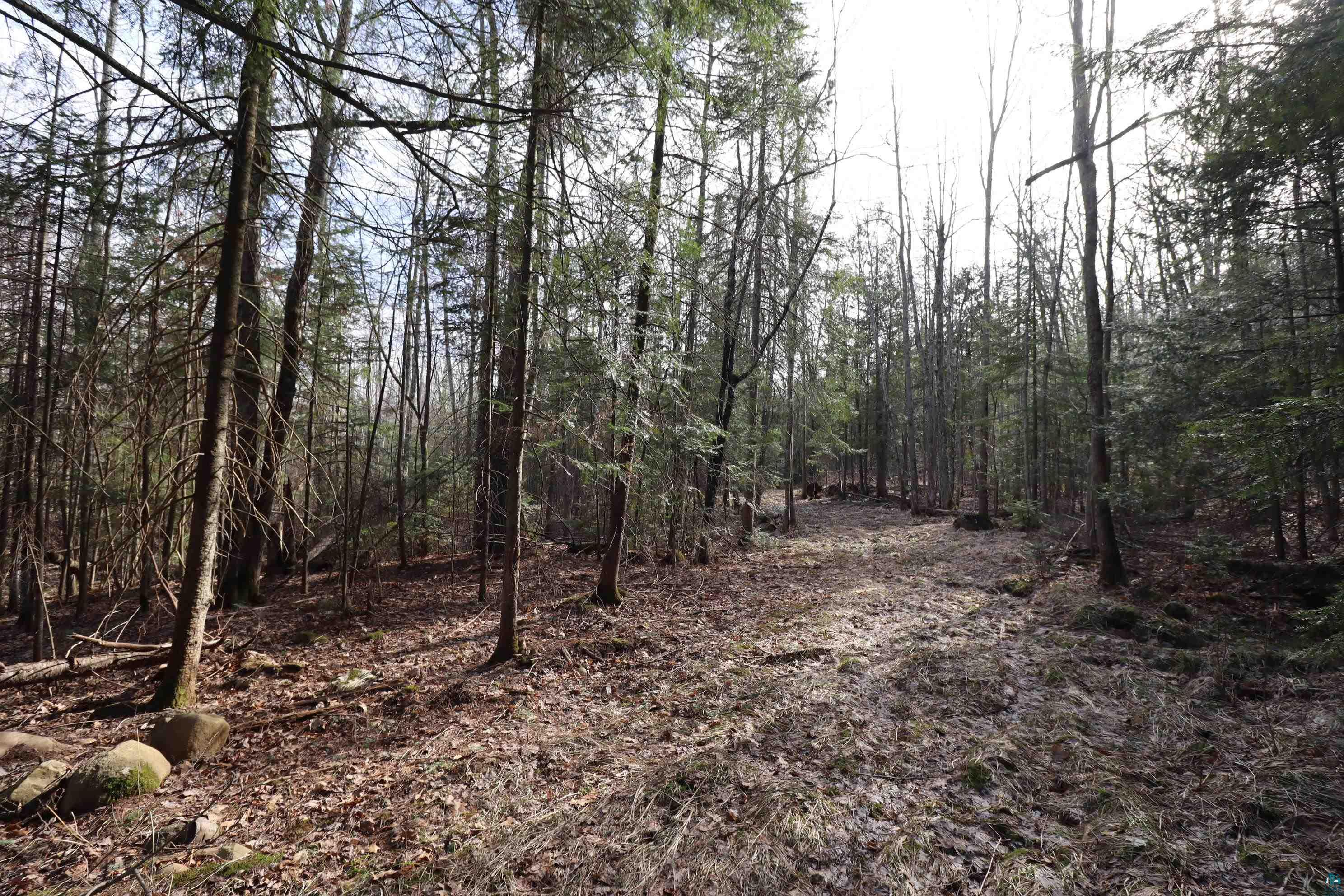 36807 County Hwy J, Bayfield, WI 54814 Listing Photo  9