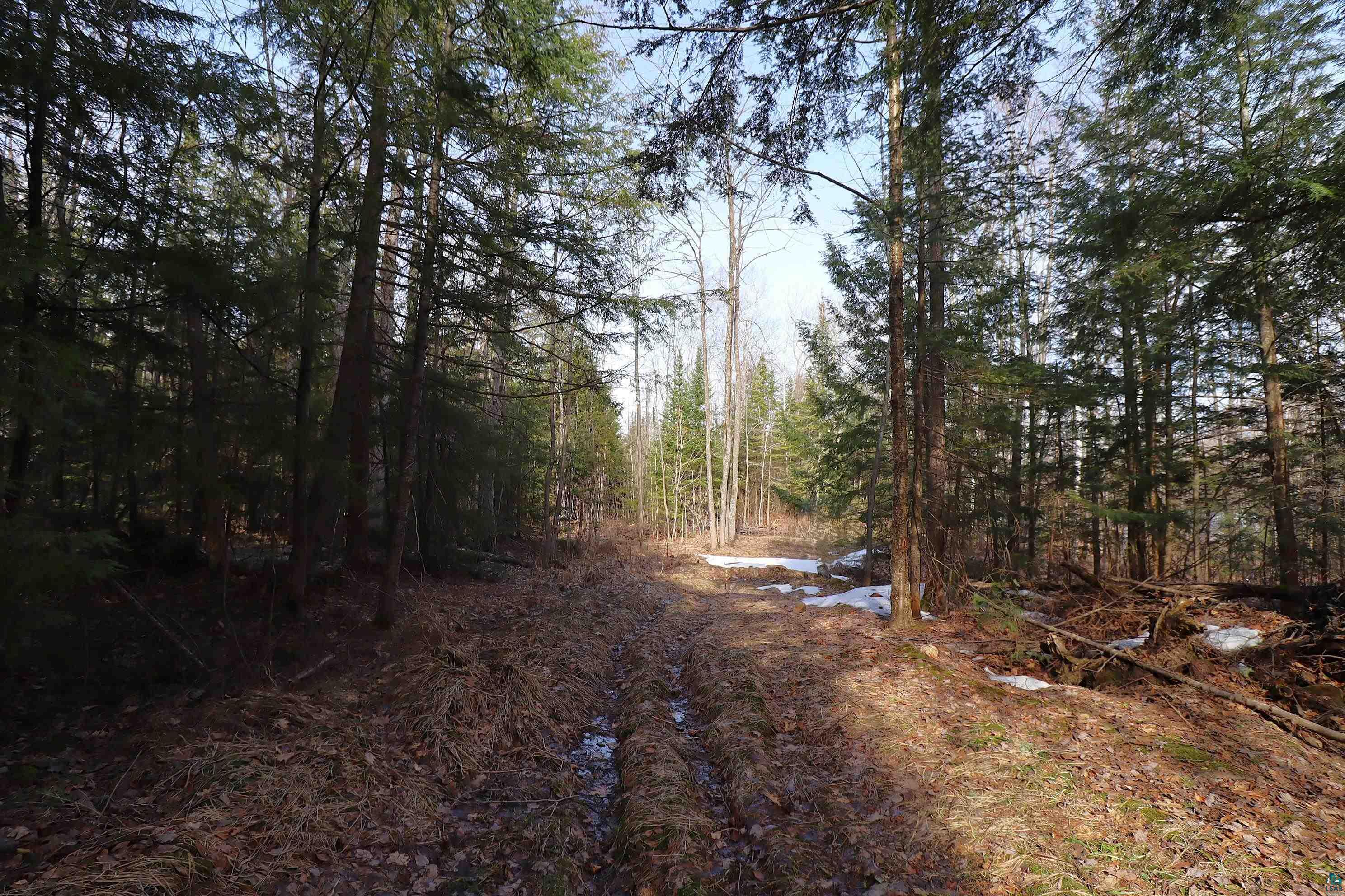 36807 County Hwy J, Bayfield, WI 54814 Listing Photo  10