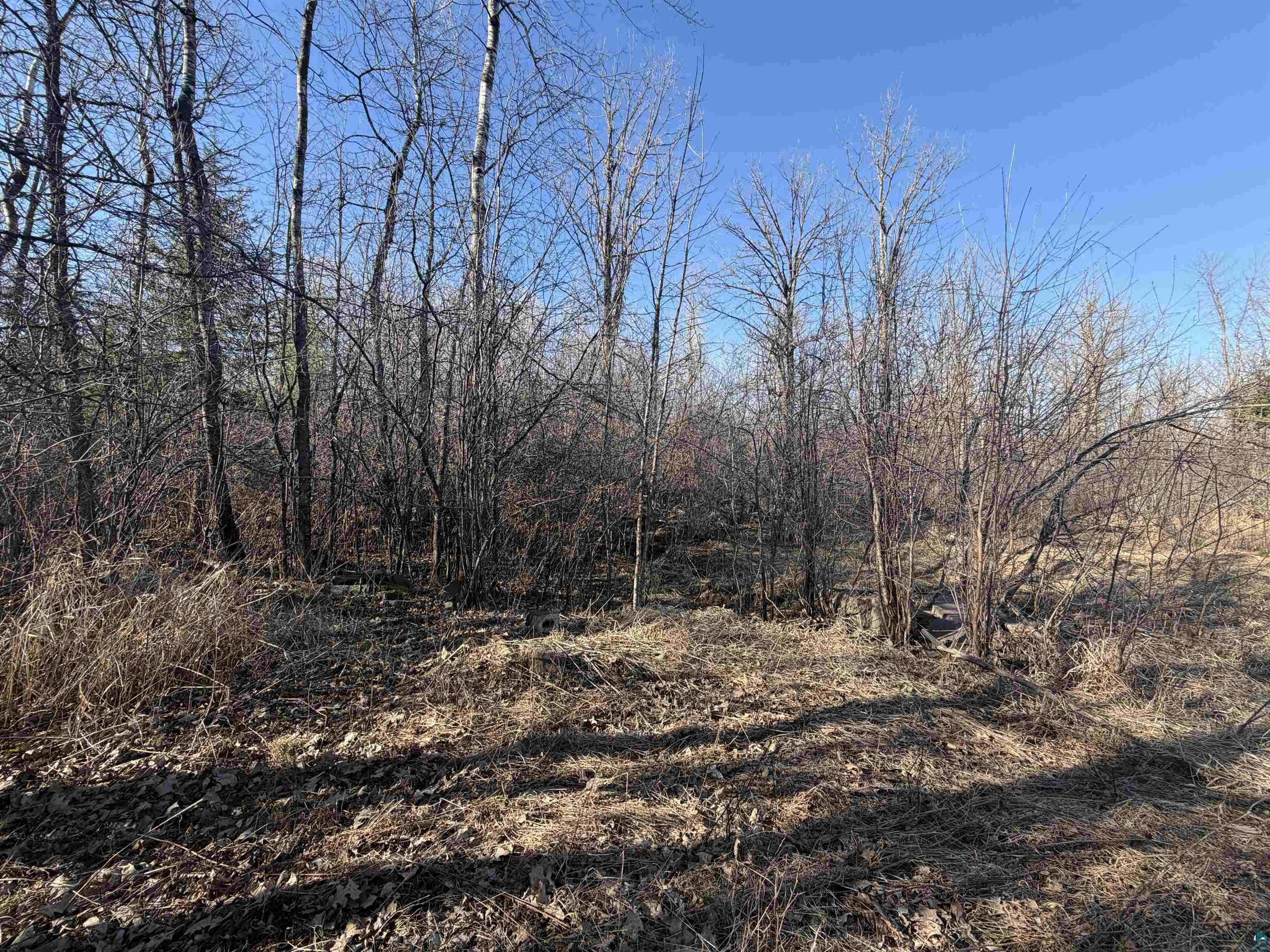 xxx Grove Ave, Moose Lake, MN 55767 Listing Photo  6
