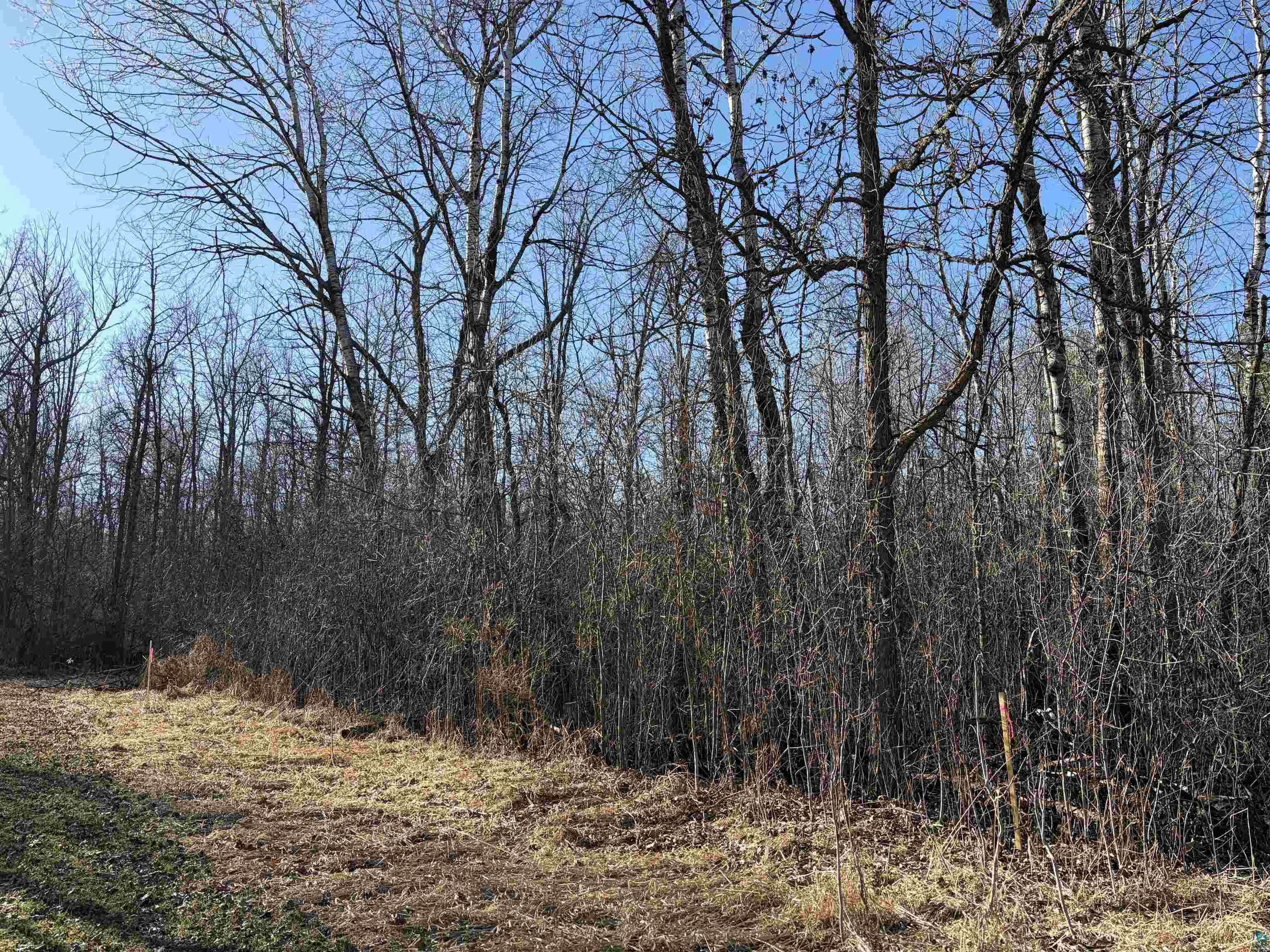 5xx 7th St, Moose Lake, MN 55767 Listing Photo  14