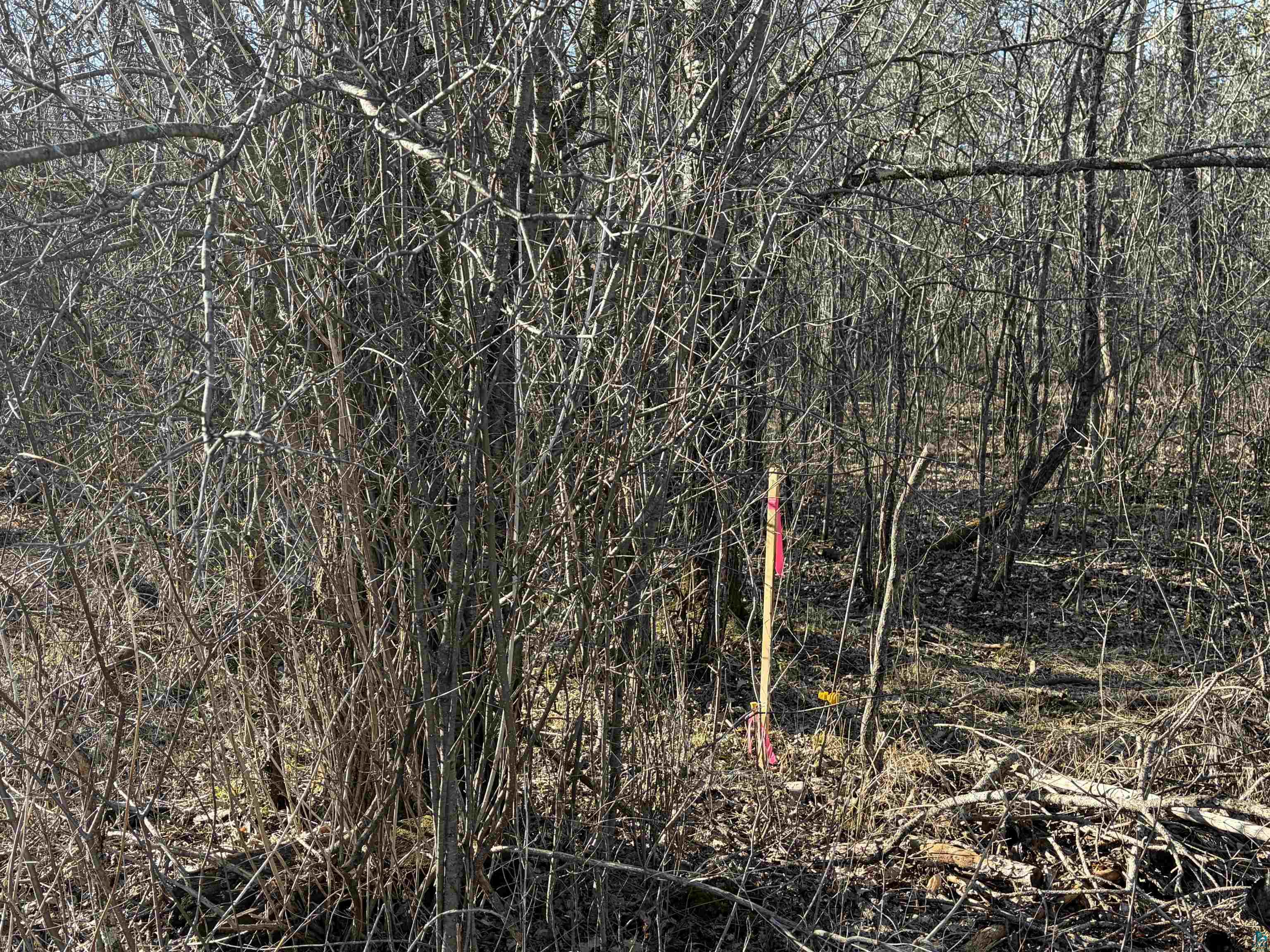 5xx 7th St, Moose Lake, MN 55767 Listing Photo  8