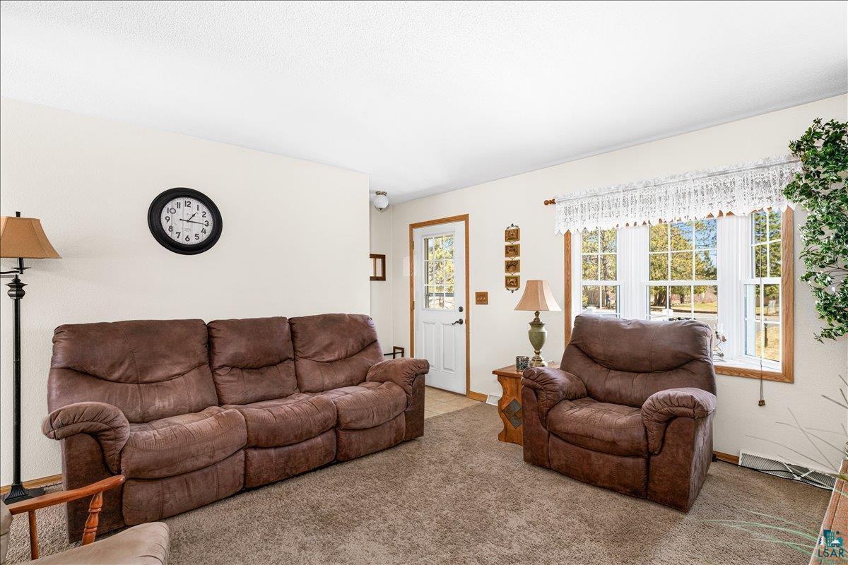 29 Maple Dr, Esko, MN 55733 Listing Photo  13