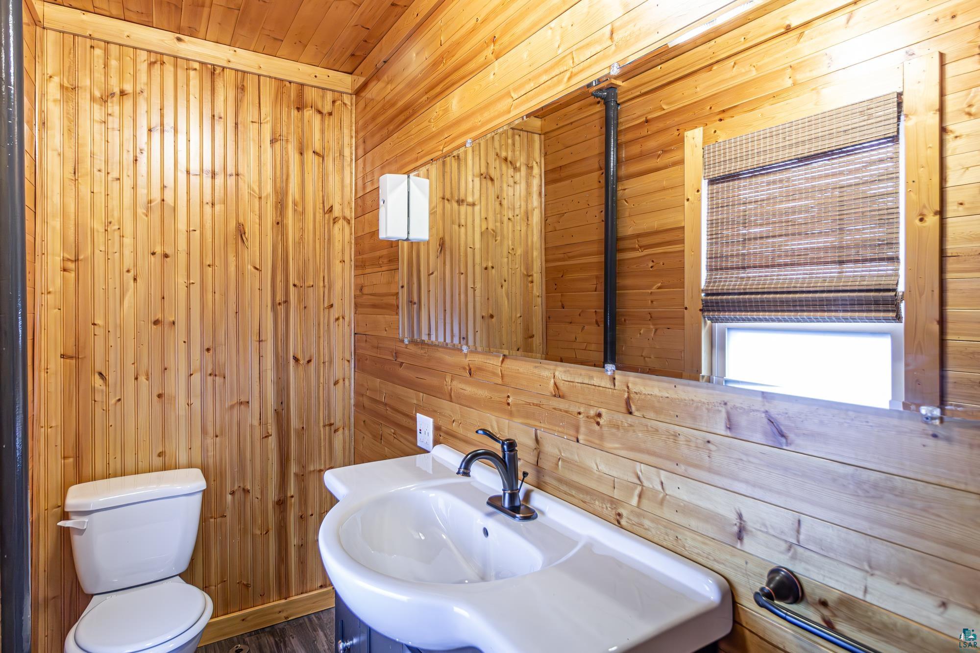 45 W Chapman St, Ely, MN 55731 Listing Photo  37