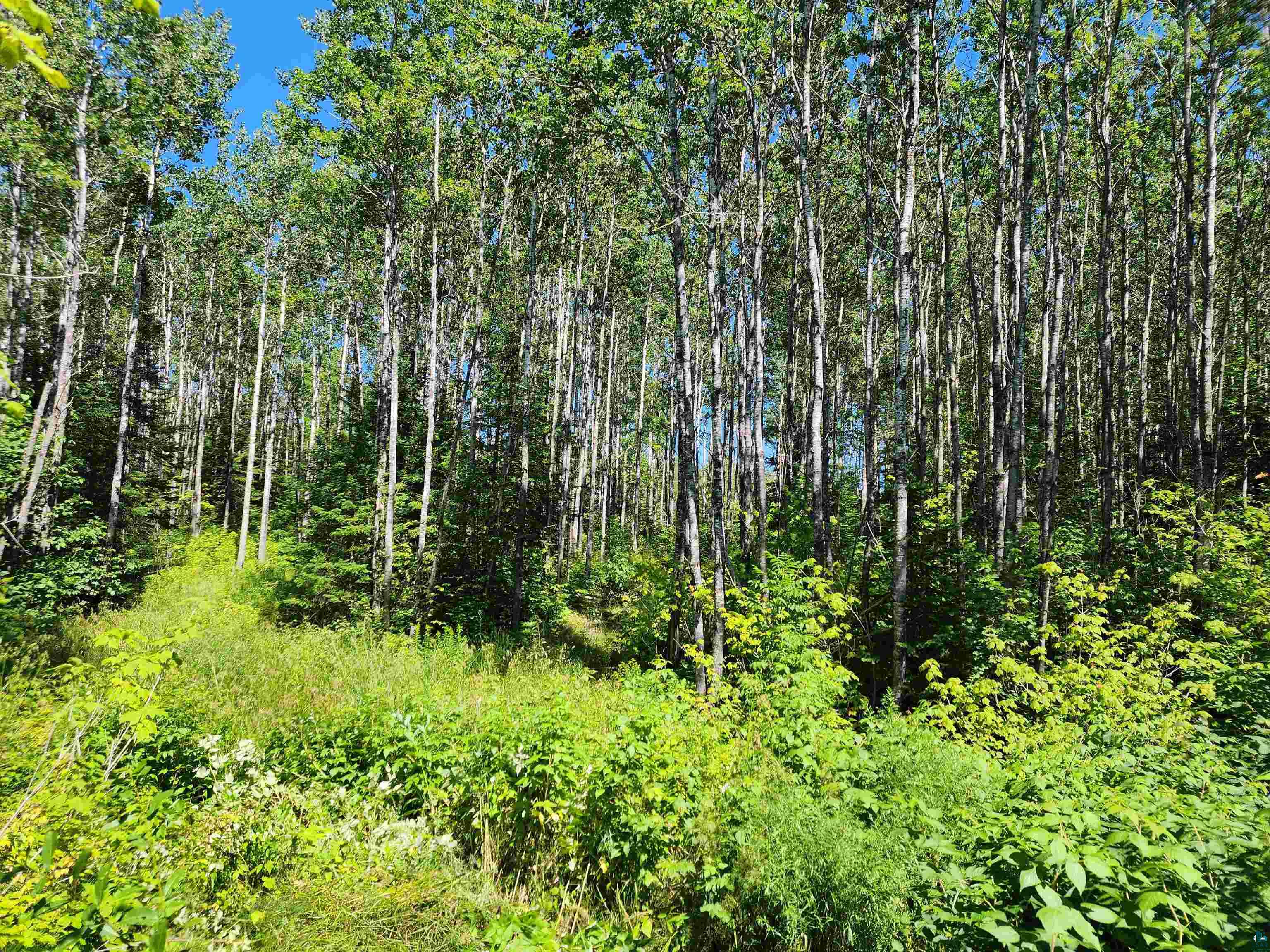 XX Black Granite Tr, Hovland, MN 55606 Listing Photo  1