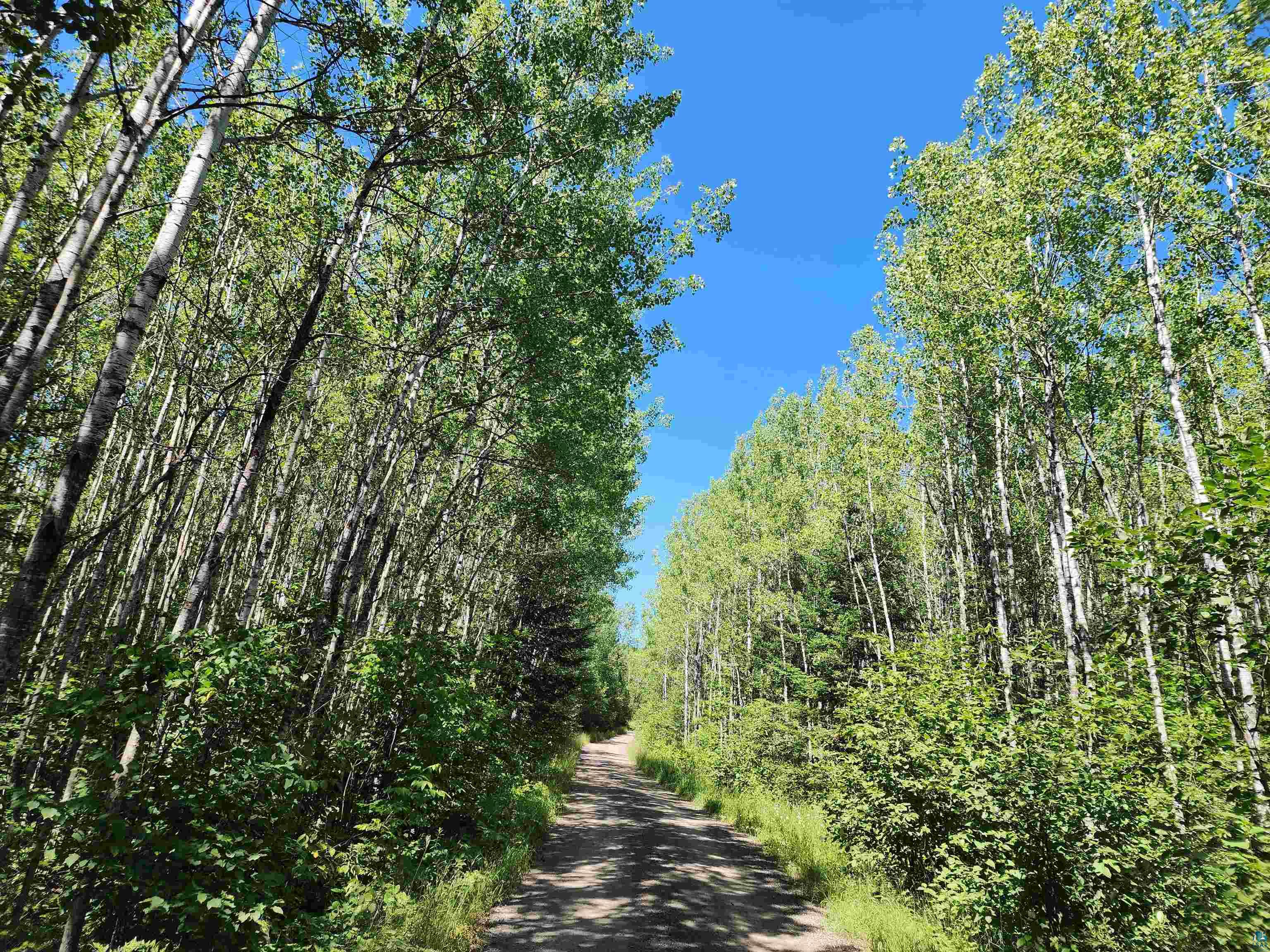 XX Black Granite Tr, Hovland, MN 55606 Listing Photo  4