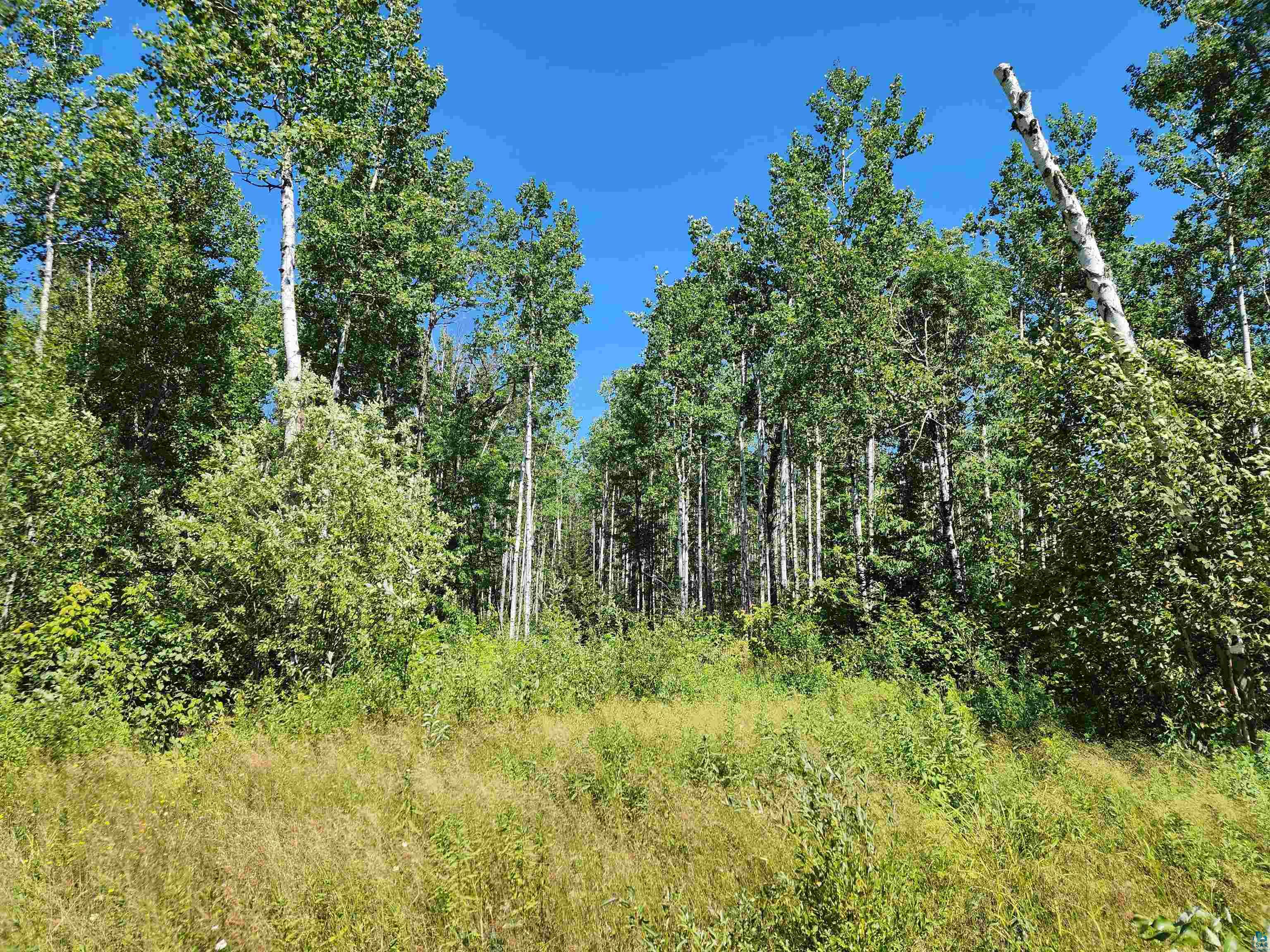 XX Black Granite Tr, Hovland, MN 55606 Listing Photo  6