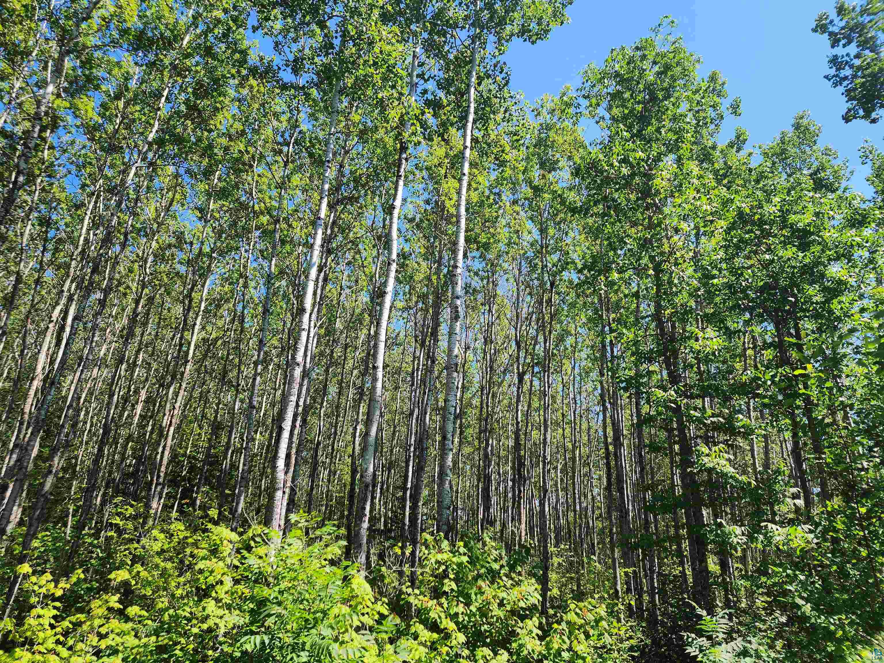 XX Black Granite Tr, Hovland, MN 55606 Listing Photo  10