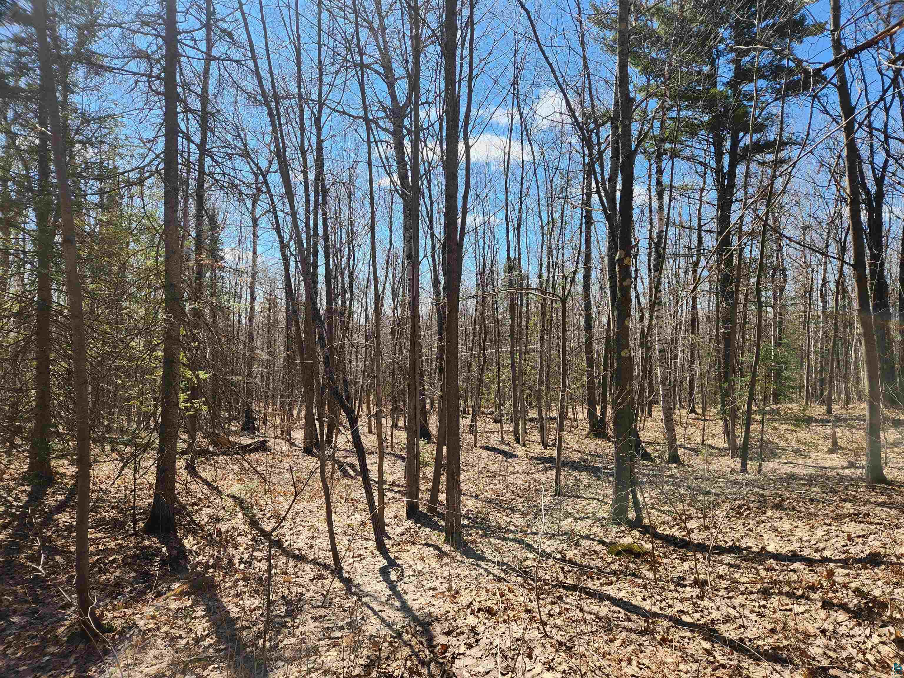 86580 State Hwy 13, Bayfield, WI 54814 Listing Photo  6