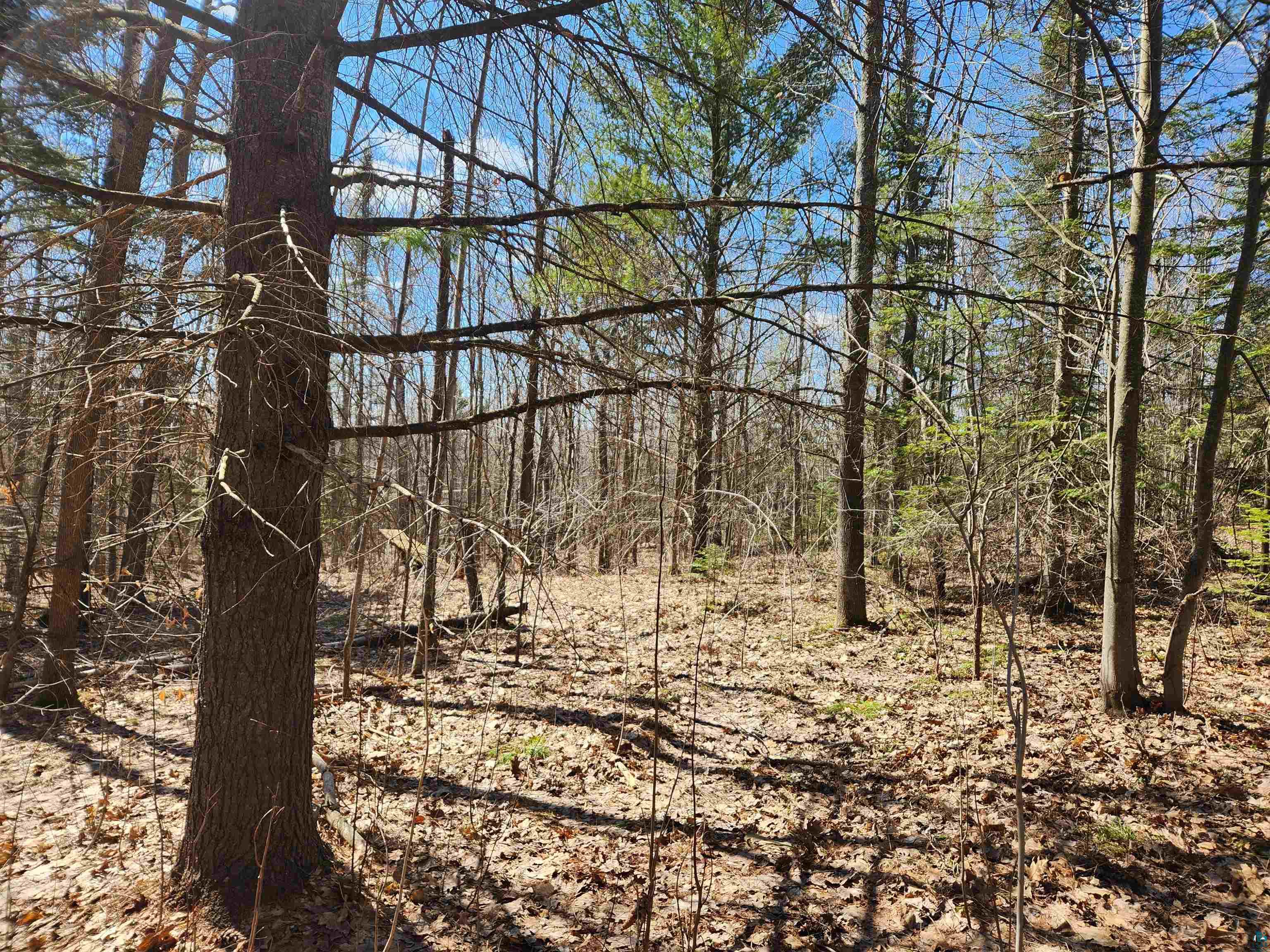 86580 State Hwy 13, Bayfield, WI 54814 Listing Photo  9