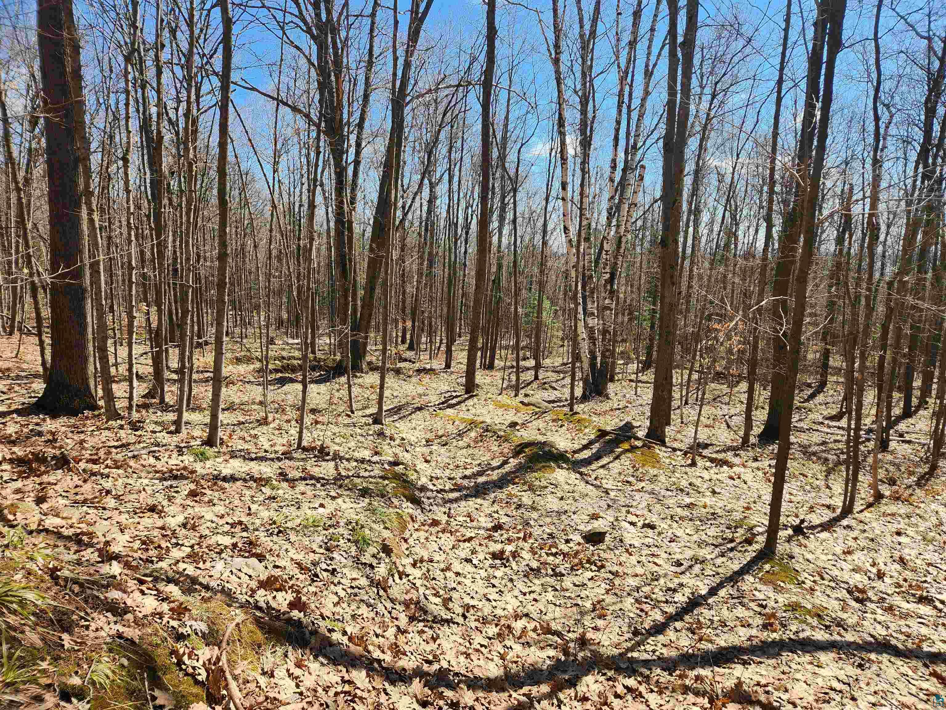 86580 State Hwy 13, Bayfield, WI 54814 Listing Photo  10