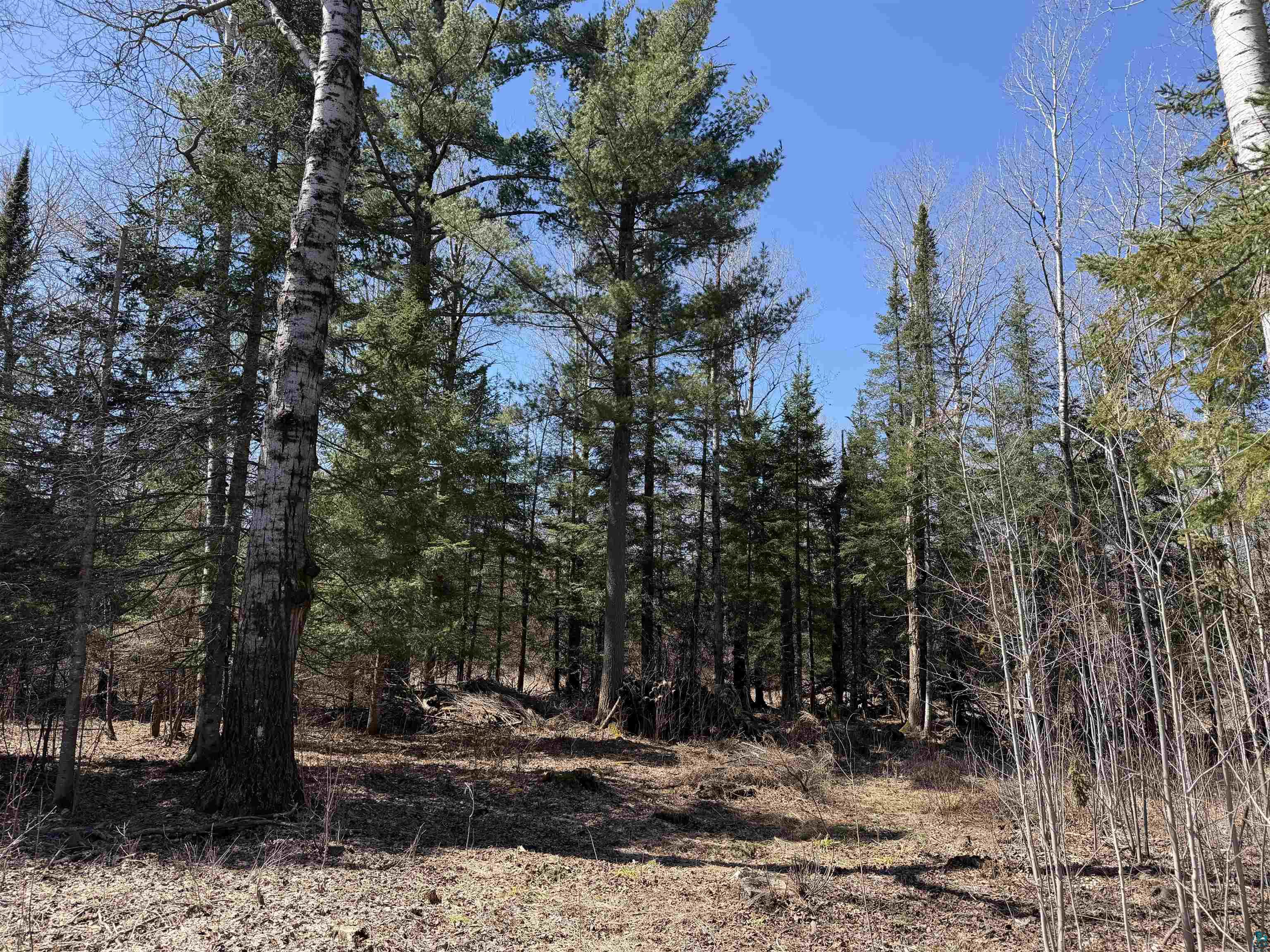 115 Marks Rd, Esko, MN 55733 Listing Photo  2