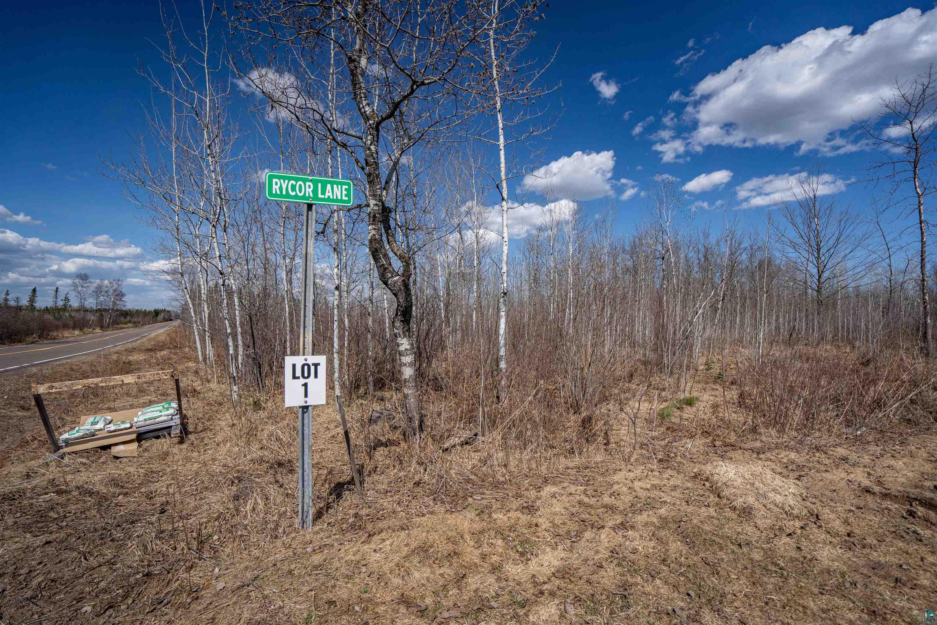 60xx Rycor Lane, Duluth, MN 55811 Listing Photo  3