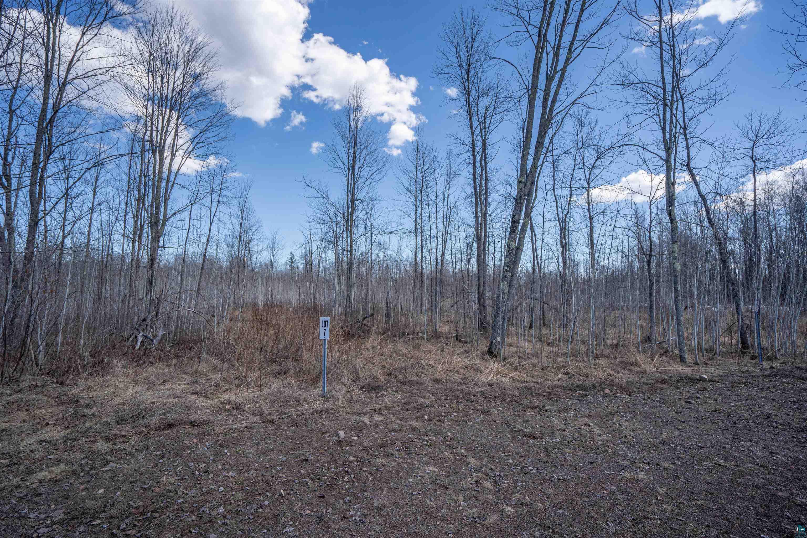 60xx Rycor Lane, Duluth, MN 55811 Listing Photo  11