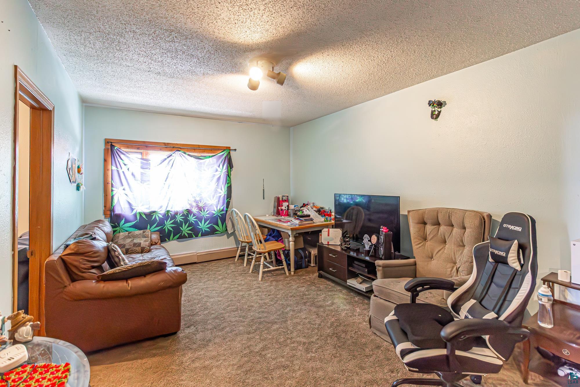 216 E Sheridan St, Ely, MN 55731 Listing Photo  78