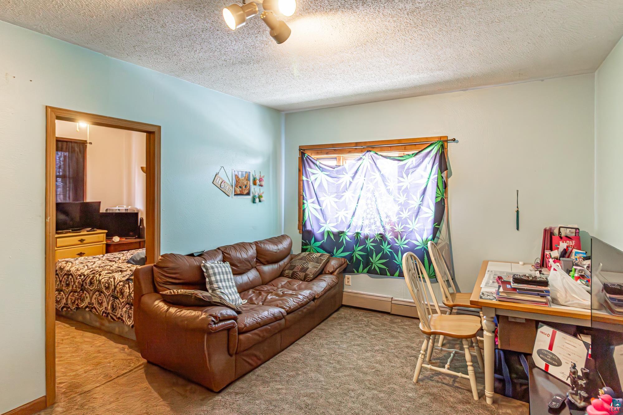 216 E Sheridan St, Ely, MN 55731 Listing Photo  79