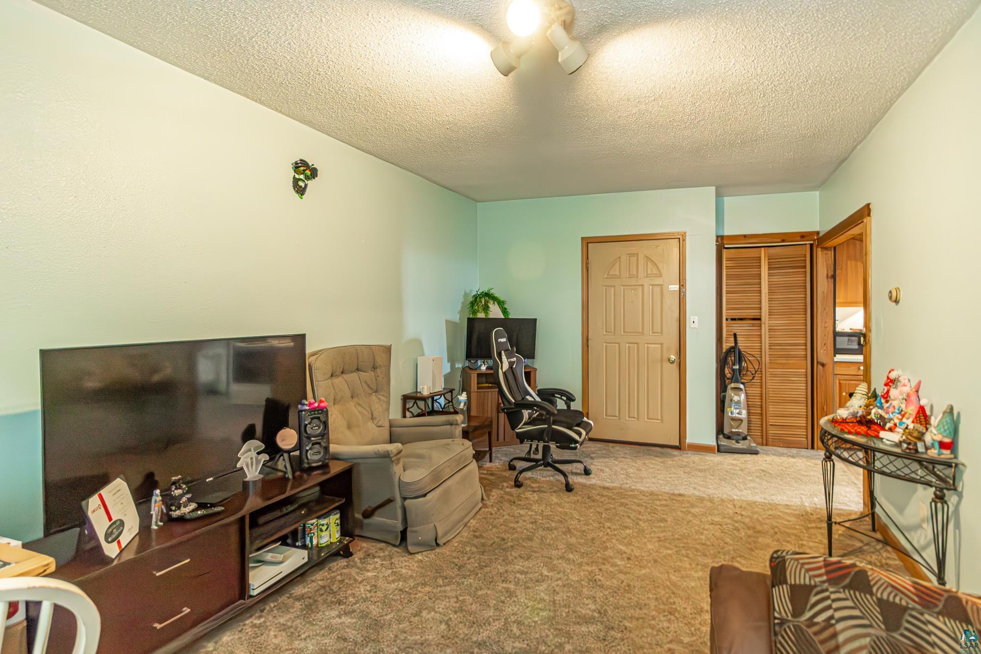 216 E Sheridan St, Ely, MN 55731 Listing Photo  80
