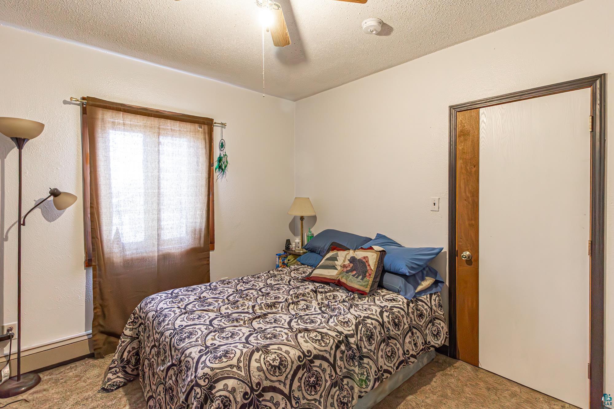 216 E Sheridan St, Ely, MN 55731 Listing Photo  81