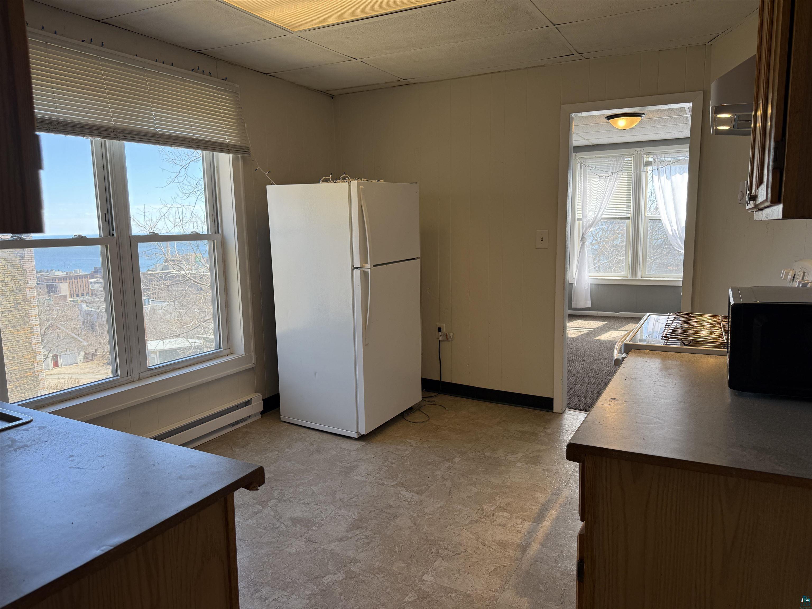 525 W 4th St, Duluth, MN 55806-4608 Listing Photo  26