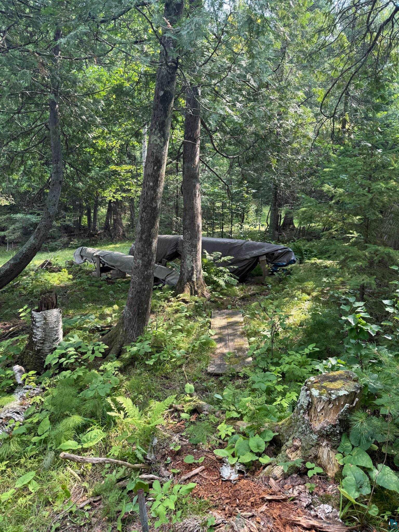 3003 Burntside Ridge Rd, Ely, MN 55731 Listing Photo  79