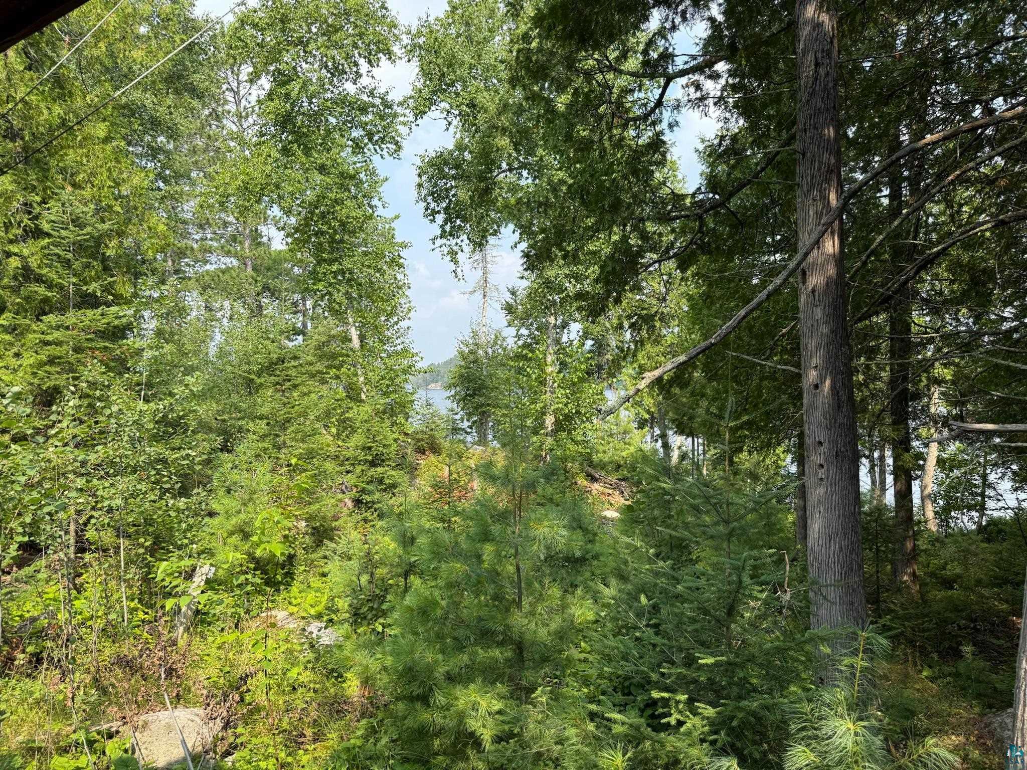 3003 Burntside Ridge Rd, Ely, MN 55731 Listing Photo  85