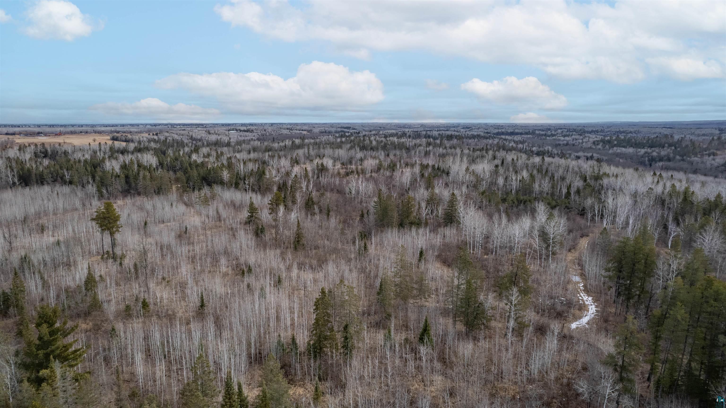  Listing Photo  17