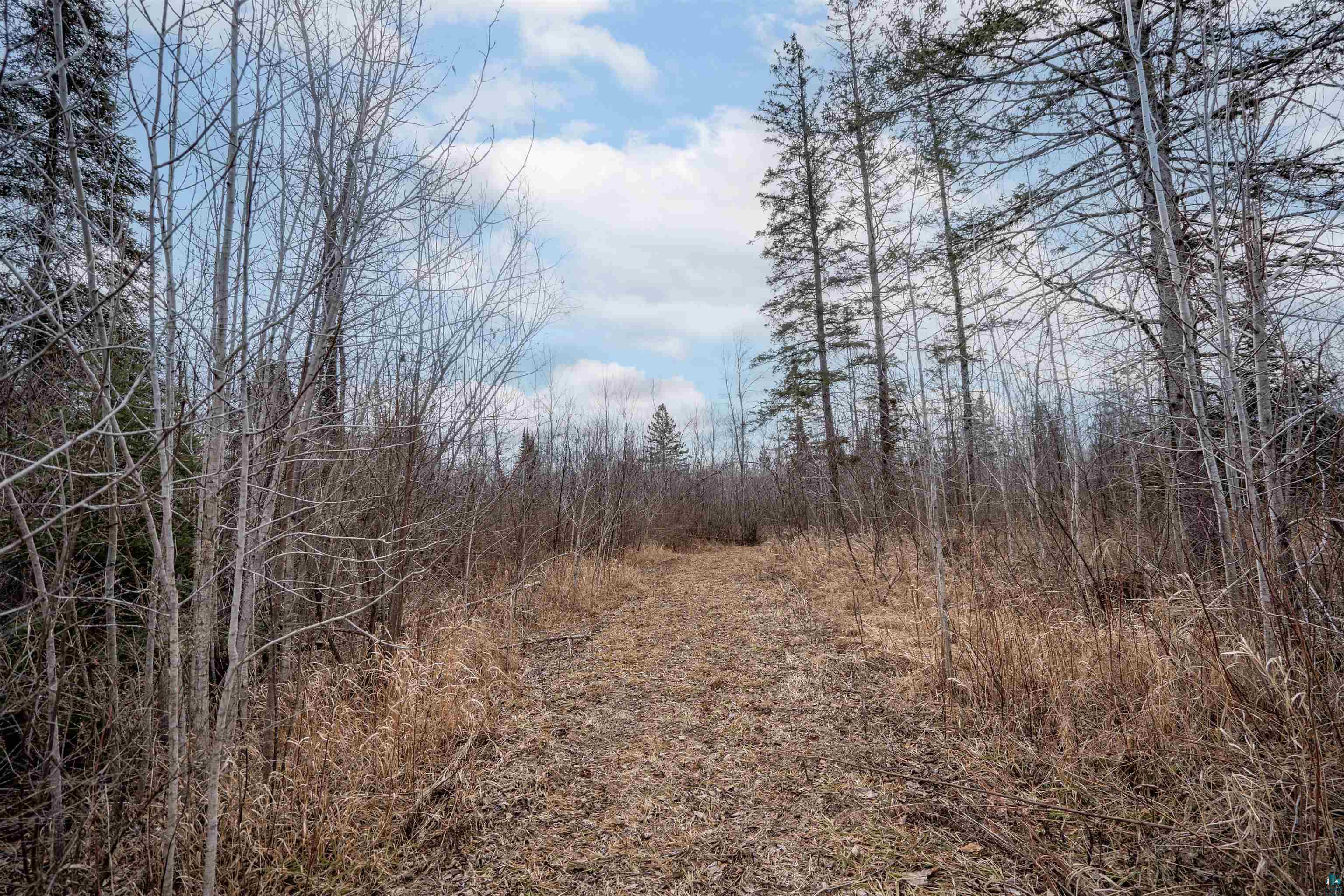  Listing Photo  21