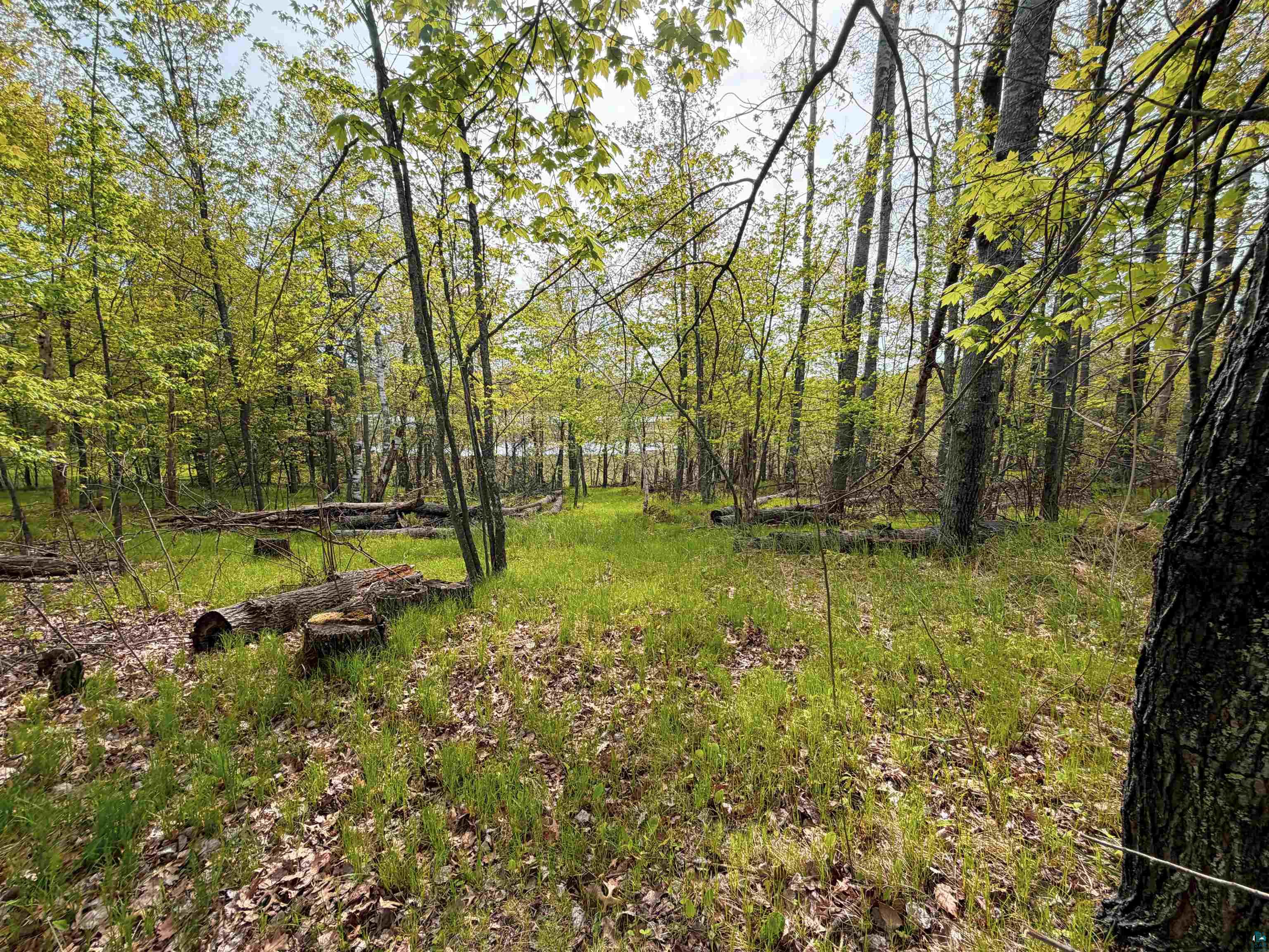 15051 S Thorn Lake Loop, Gordon, WI 54838 Listing Photo  6